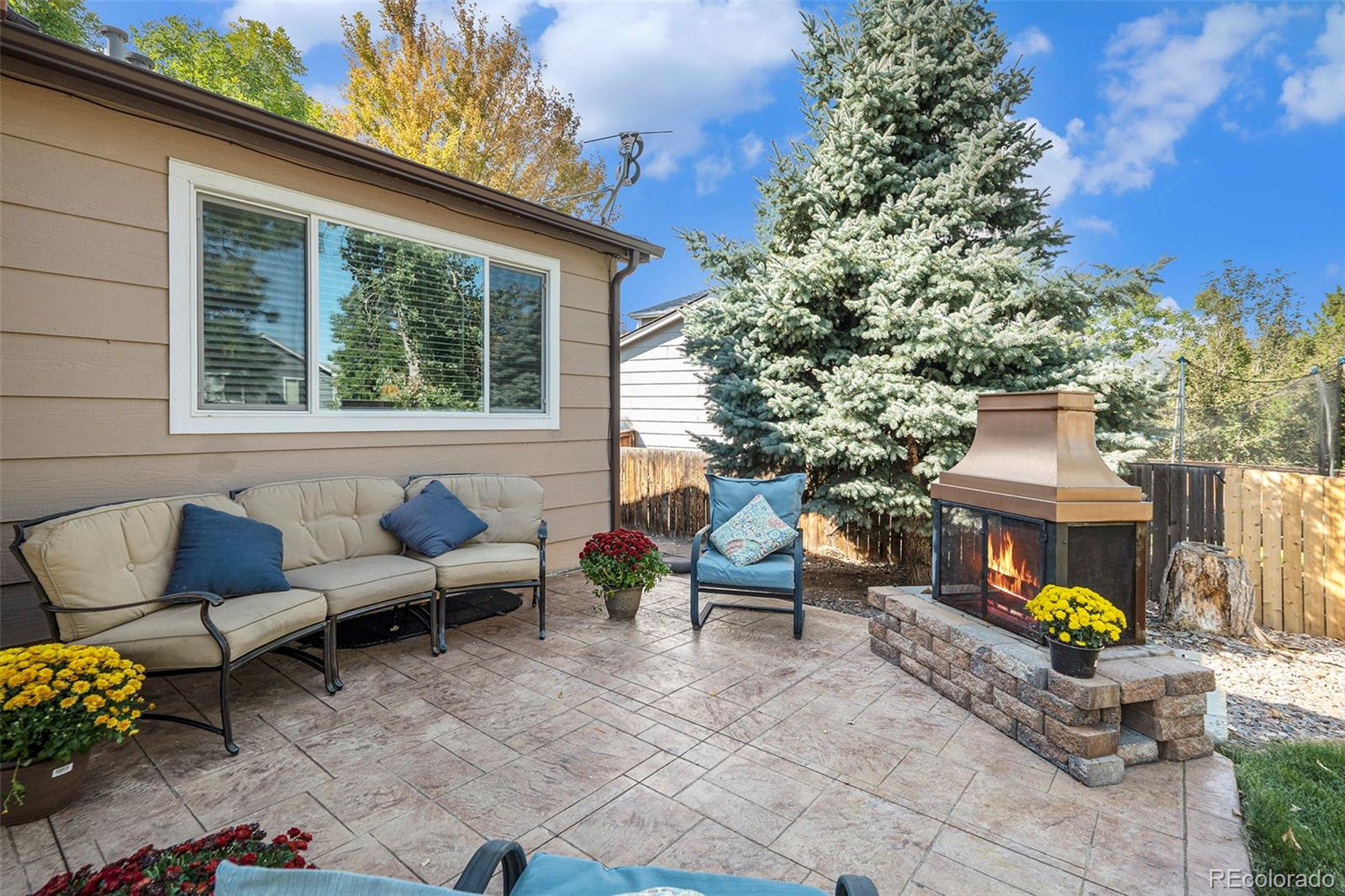 MLS Image #26 for 9662  newcastle drive,highlands ranch, Colorado