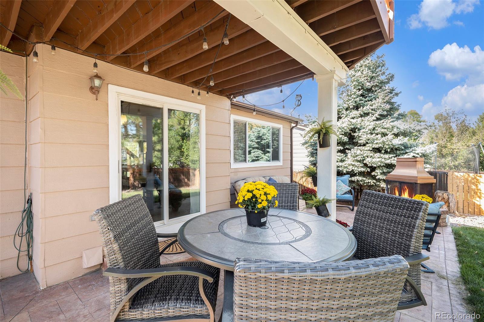 MLS Image #27 for 9662  newcastle drive,highlands ranch, Colorado