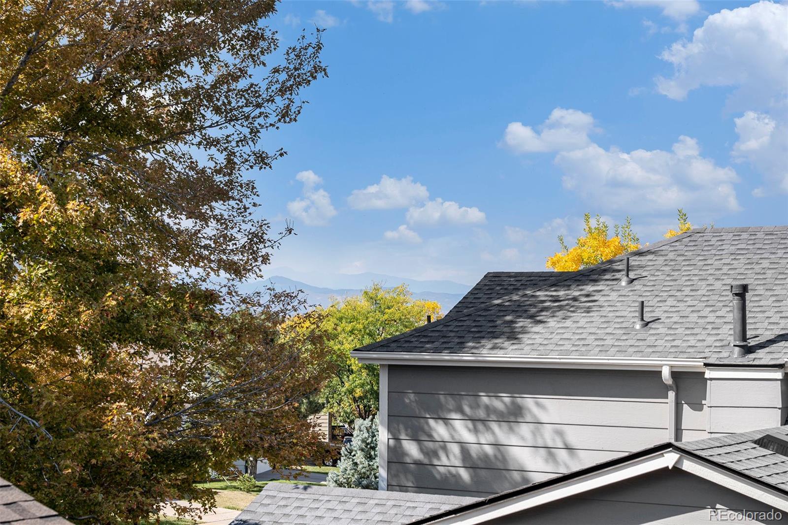 MLS Image #29 for 9662  newcastle drive,highlands ranch, Colorado