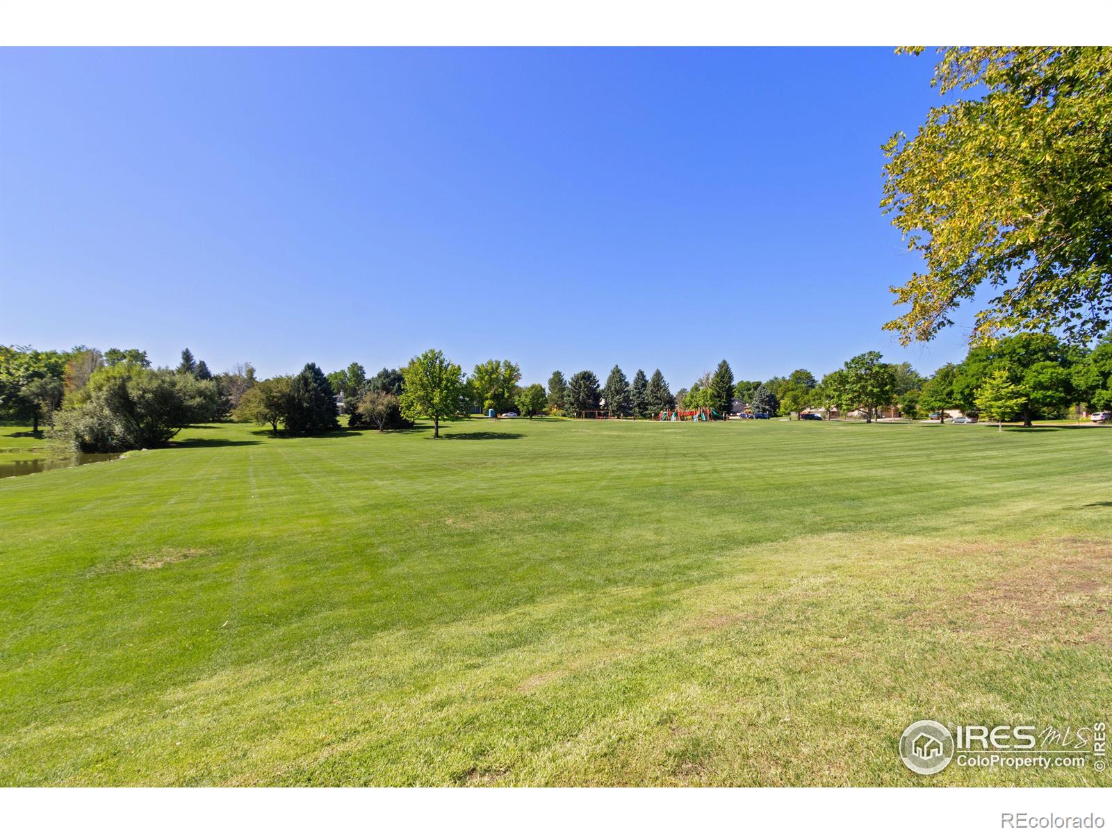 MLS Image #5 for 521  46th avenue,greeley, Colorado