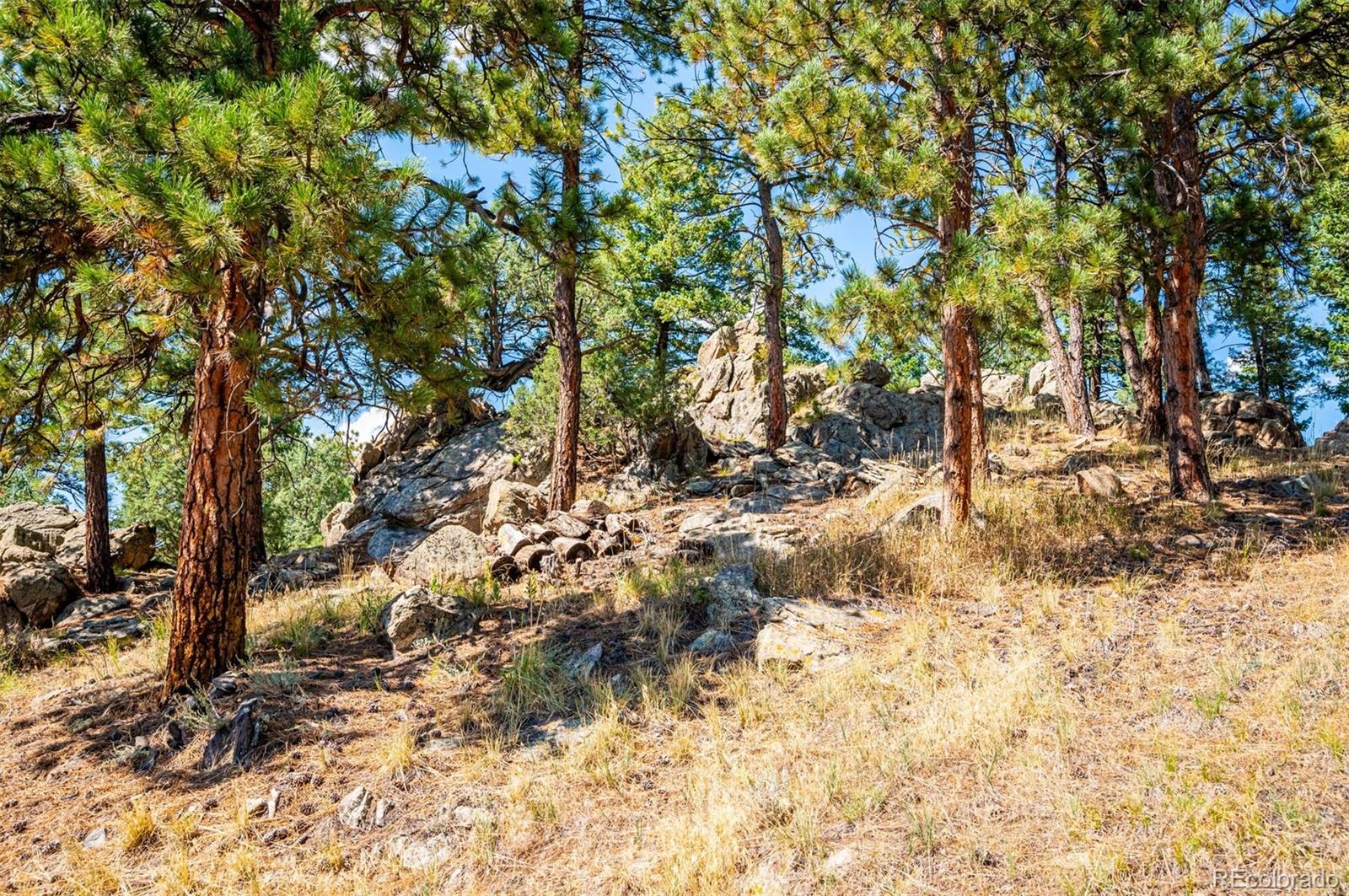 MLS Image #39 for 1731  larkspur drive,golden, Colorado