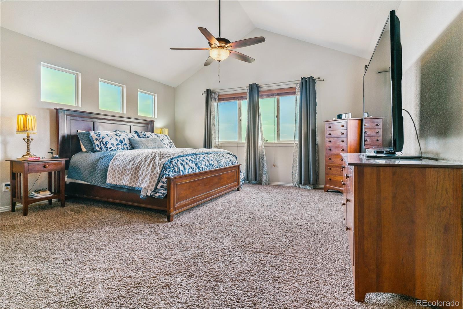 MLS Image #19 for 3477  softwind point,castle rock, Colorado