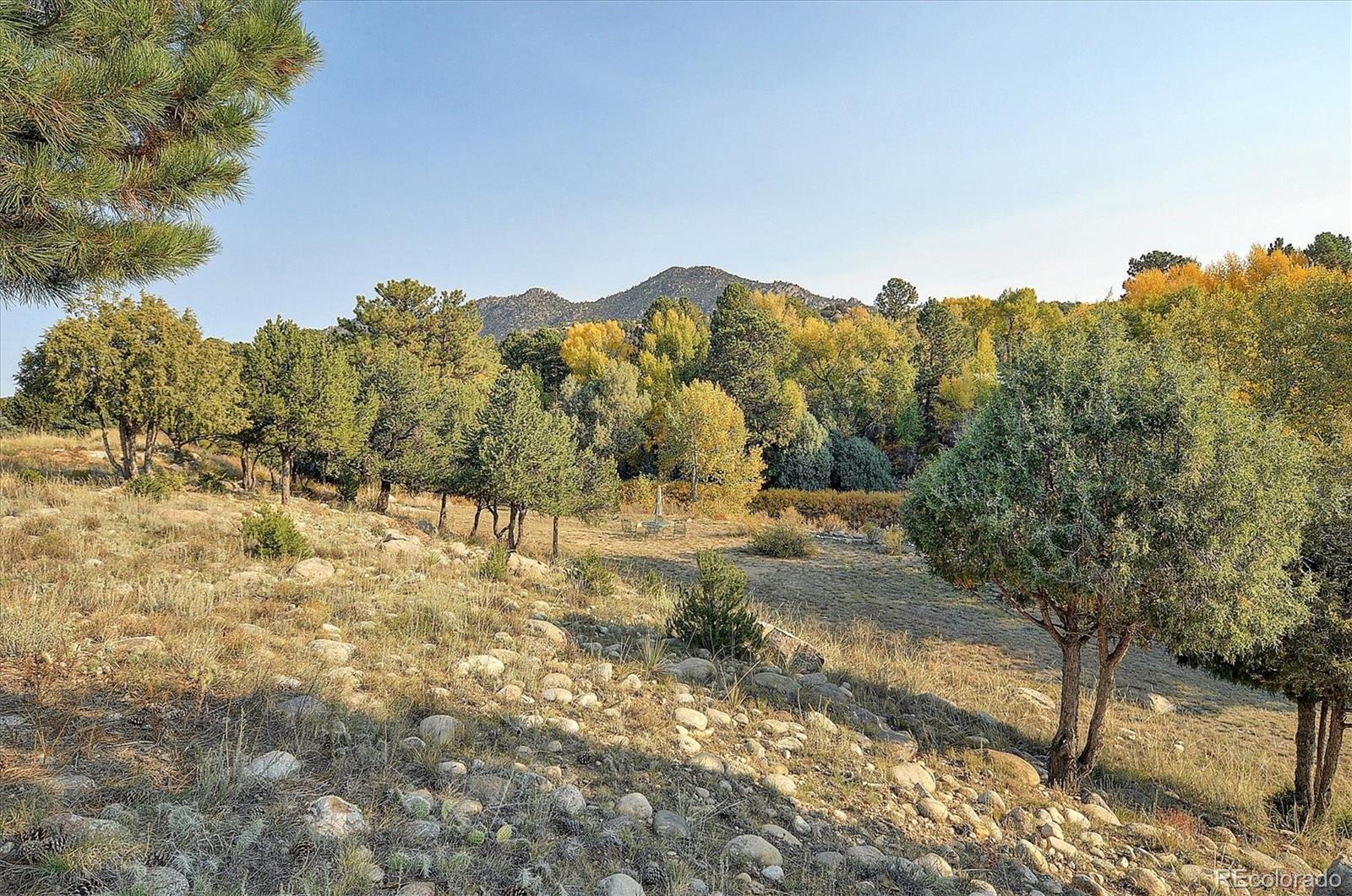 MLS Image #43 for 27665  county road 313 ,buena vista, Colorado