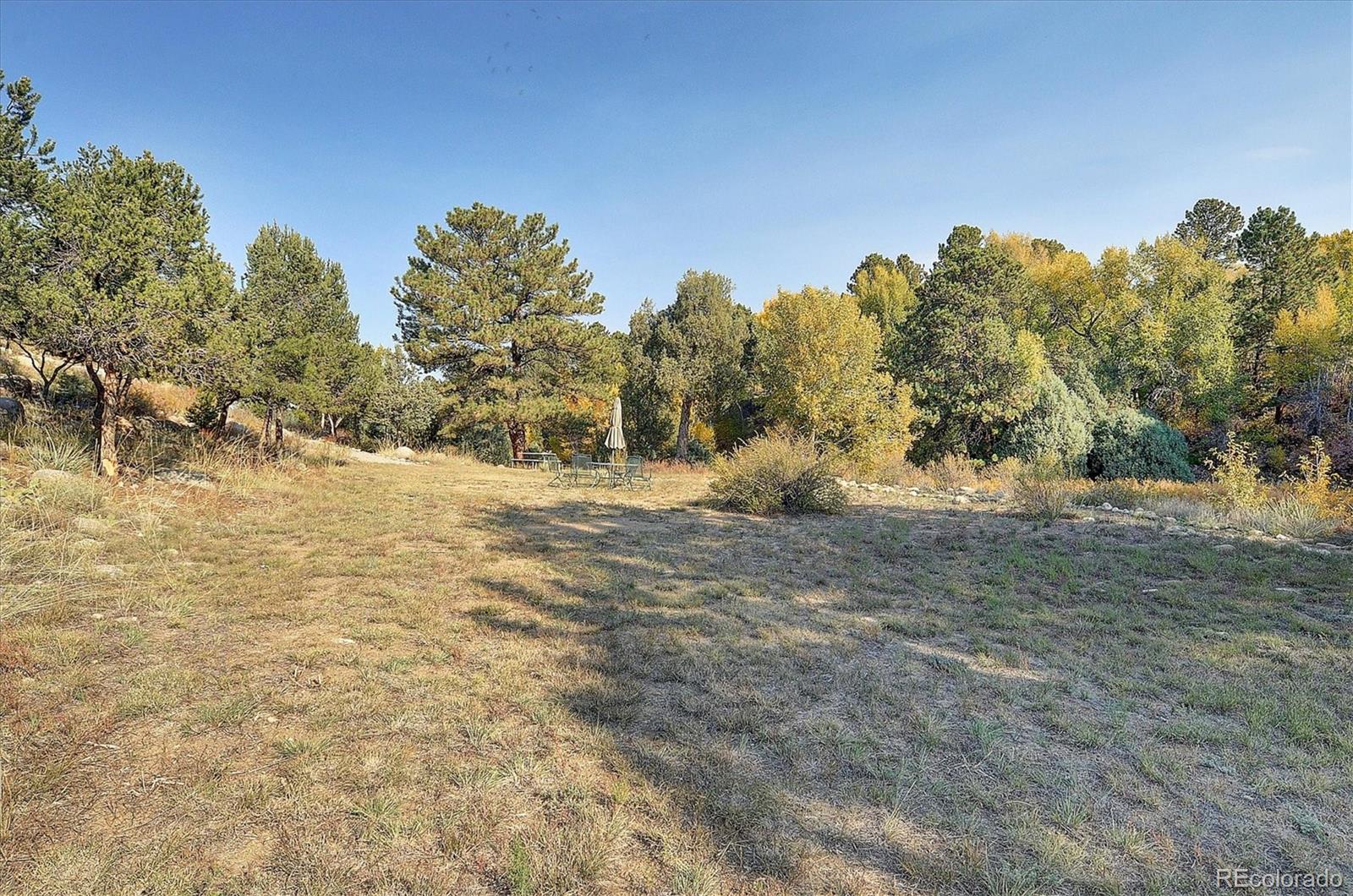 MLS Image #46 for 27665  county road 313 ,buena vista, Colorado