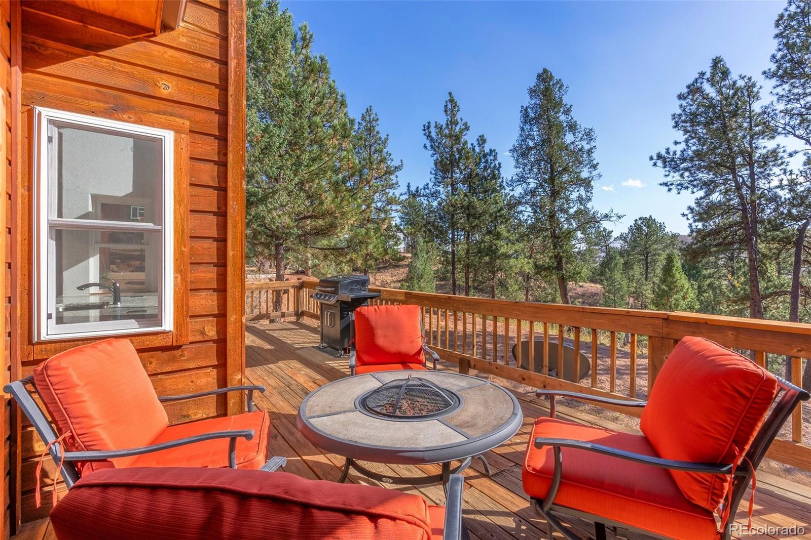 MLS Image #22 for 15364 s swiss rd ,pine, Colorado