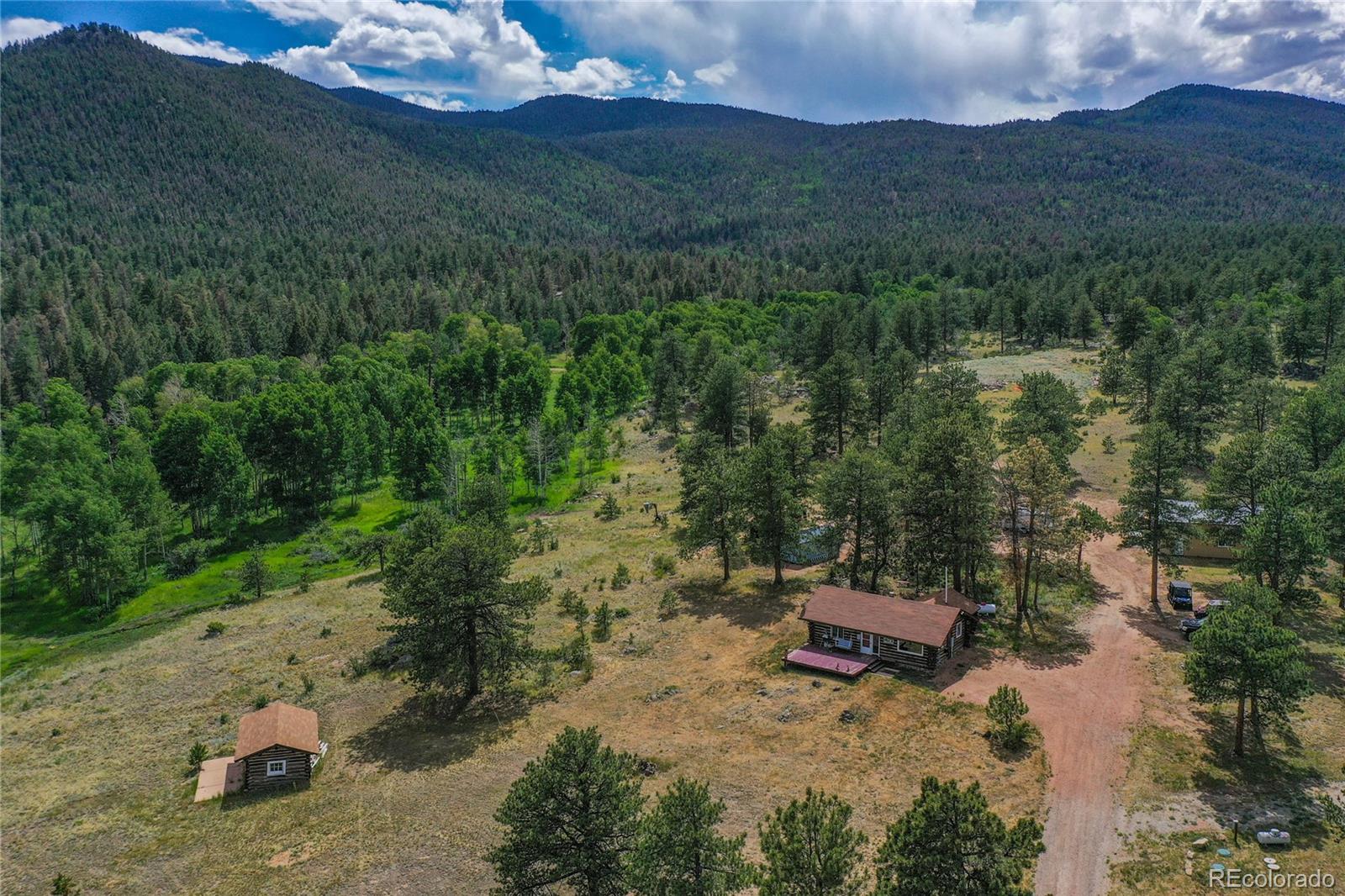 MLS Image #0 for 1410  county road 90 ,lake george, Colorado