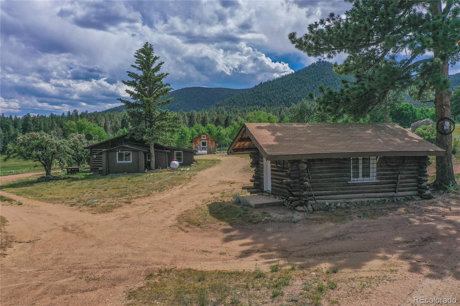 MLS Image #2 for 1410  county road 90 ,lake george, Colorado