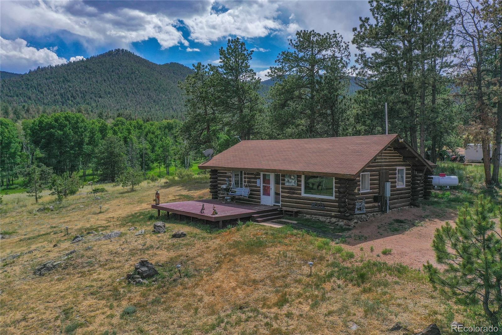 MLS Image #3 for 1410  county road 90 ,lake george, Colorado