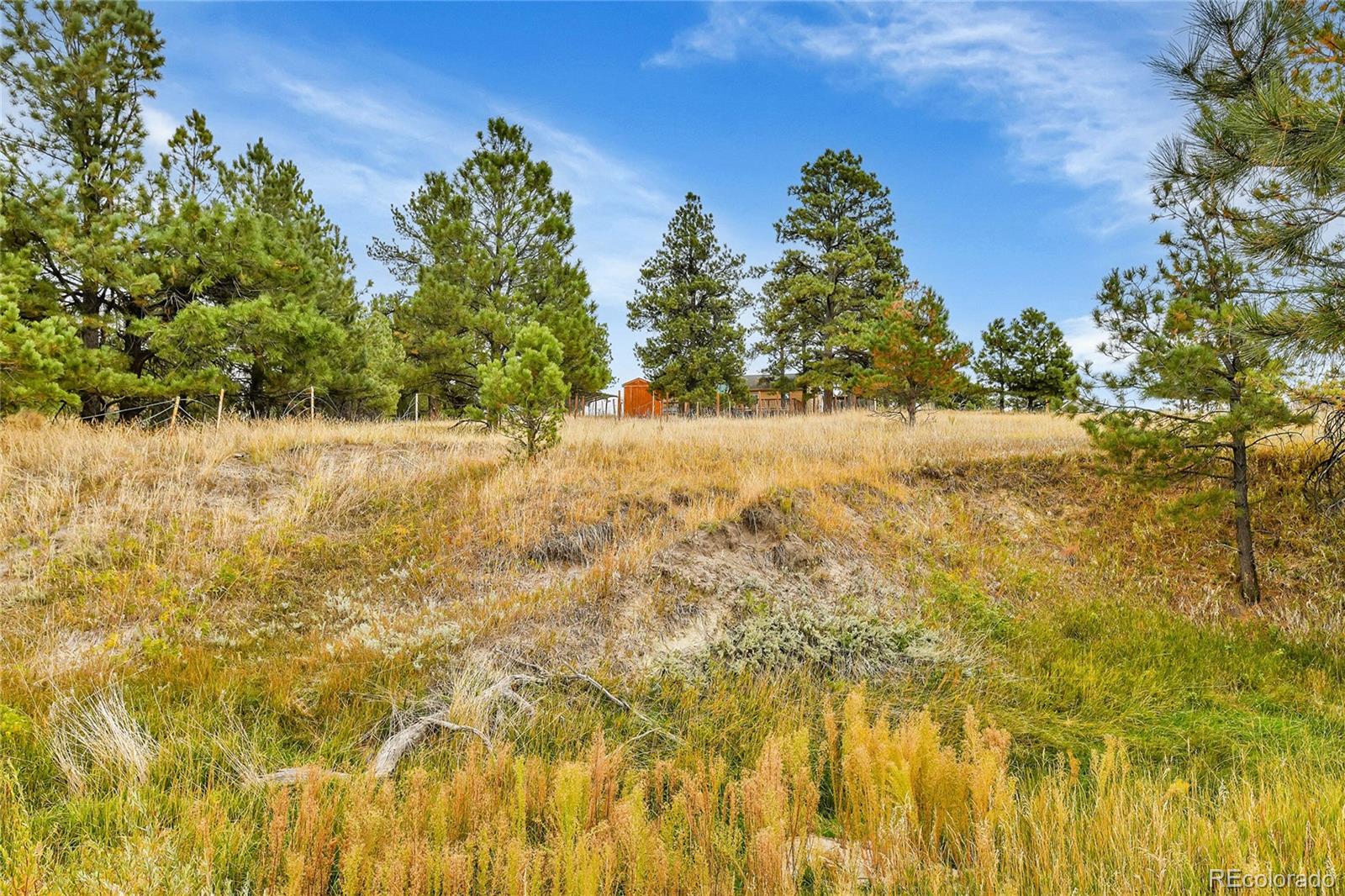 MLS Image #41 for 32333  pine view drive,kiowa, Colorado