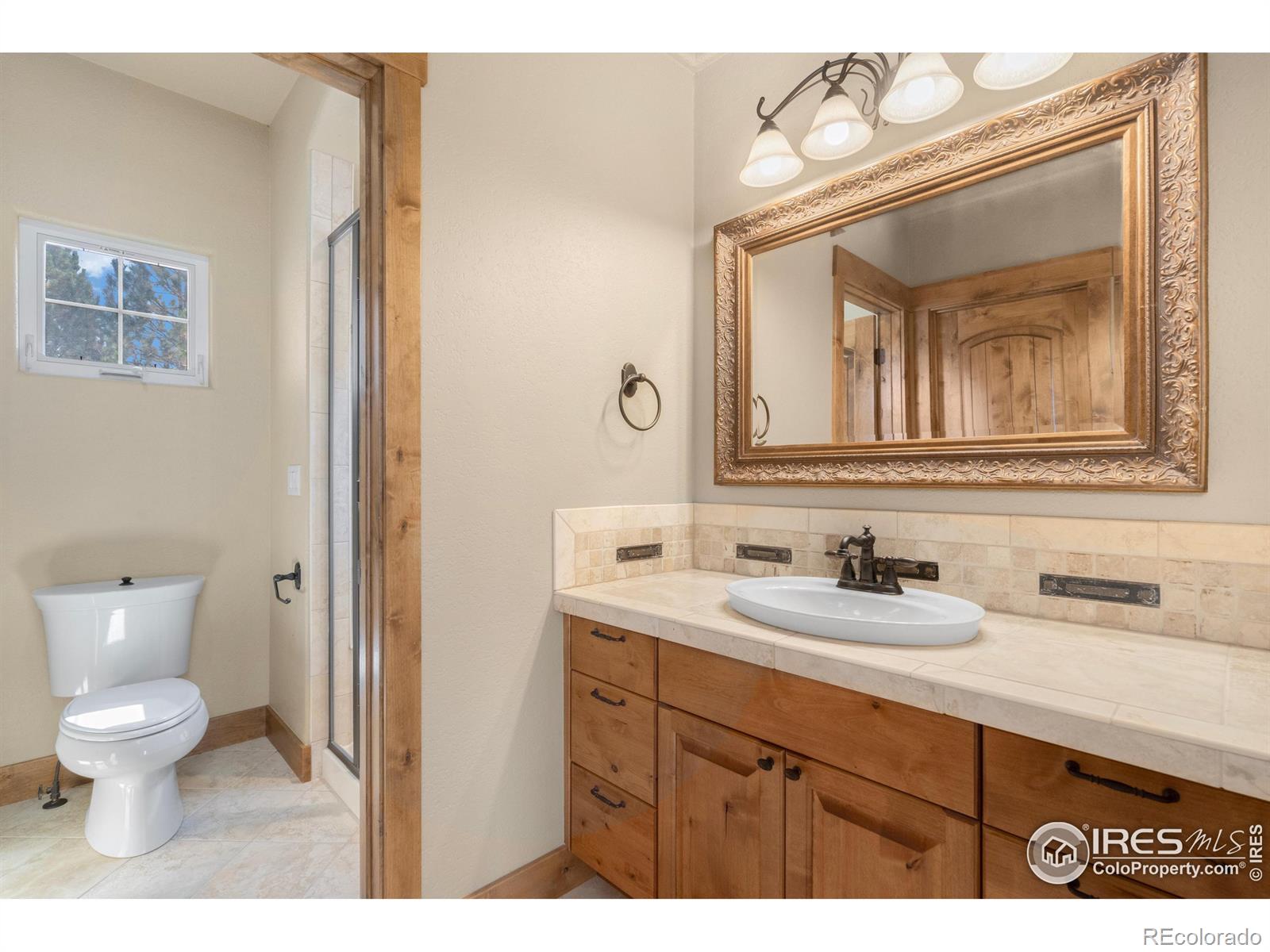 MLS Image #25 for 4026  via del oro drive,loveland, Colorado