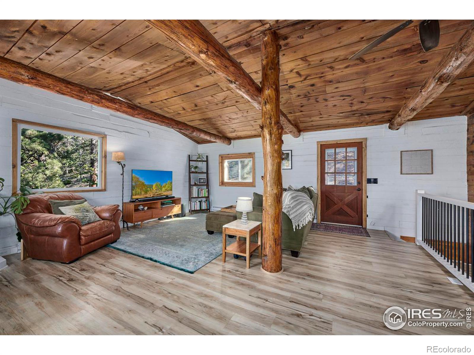 MLS Image #10 for 17  barker road,nederland, Colorado