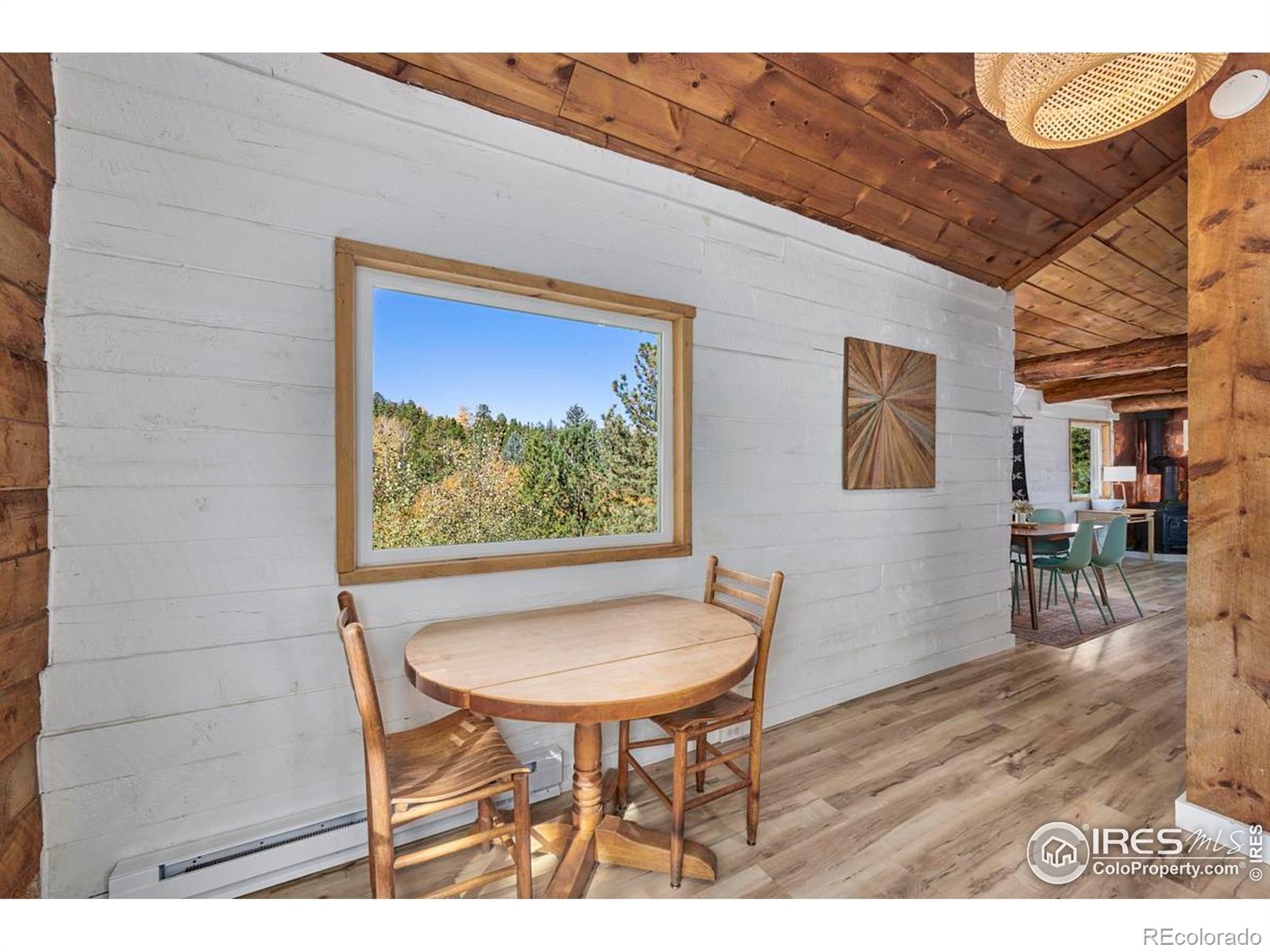 MLS Image #16 for 17  barker road,nederland, Colorado