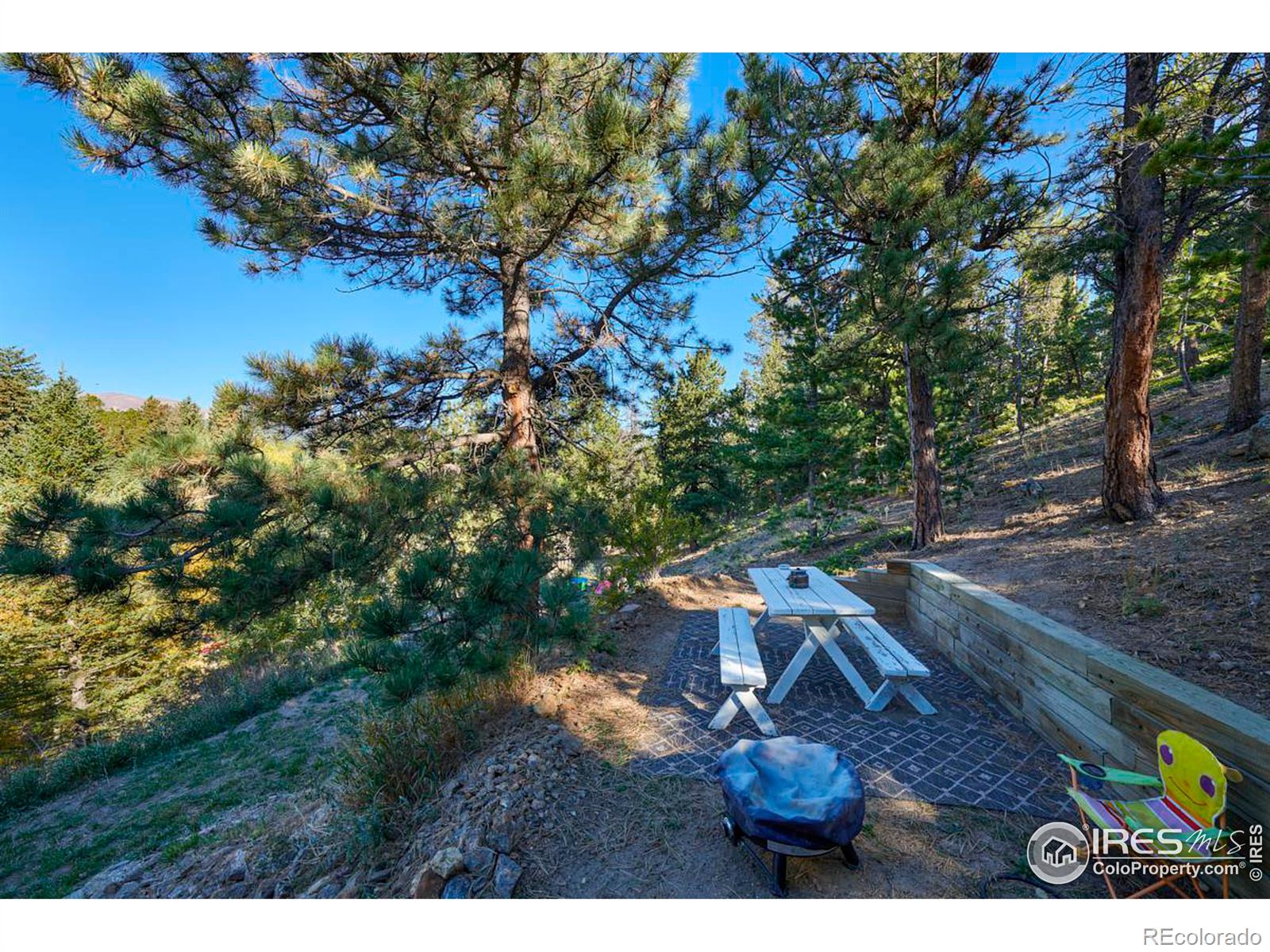 MLS Image #19 for 17  barker road,nederland, Colorado