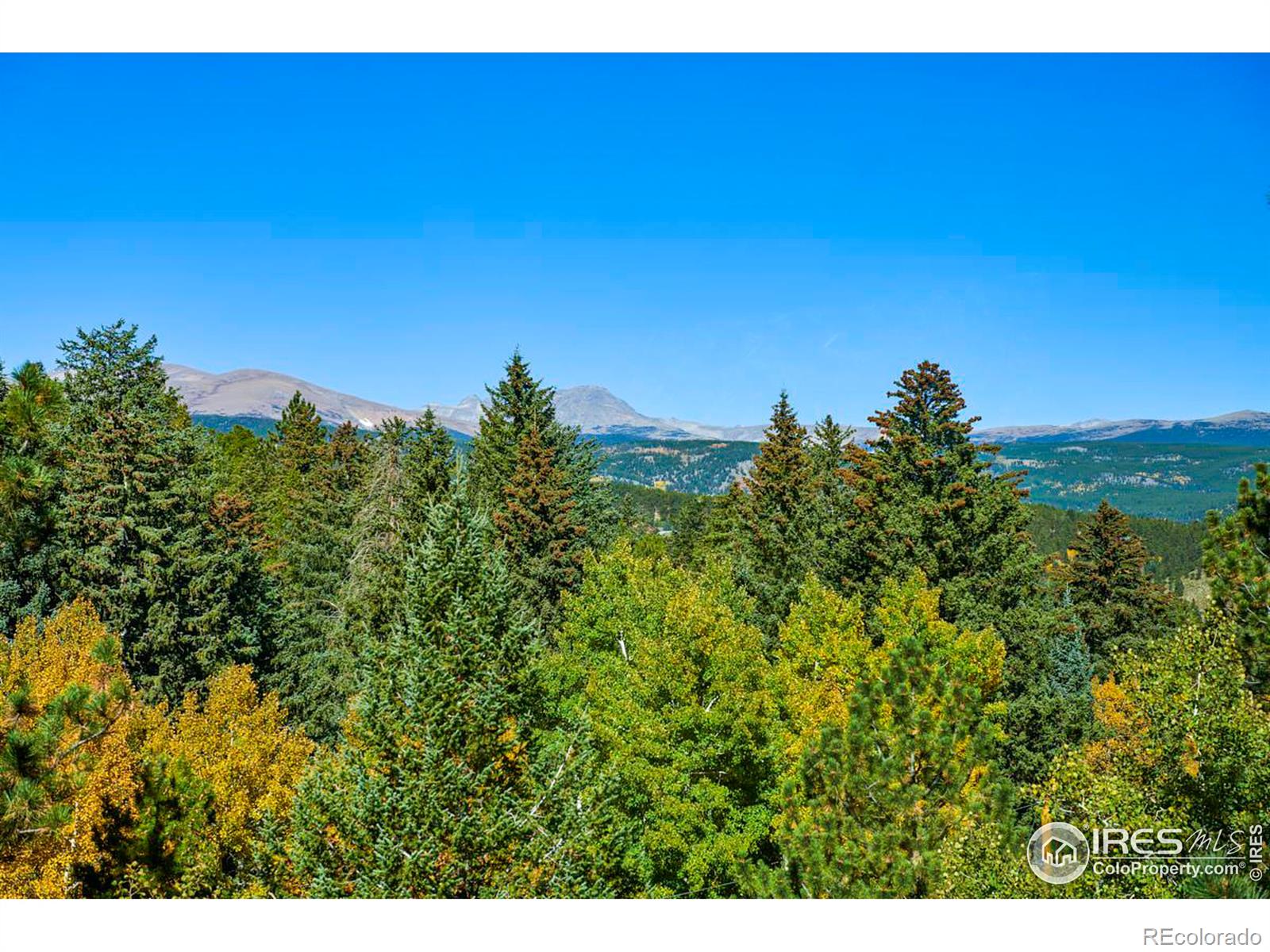 MLS Image #24 for 17  barker road,nederland, Colorado