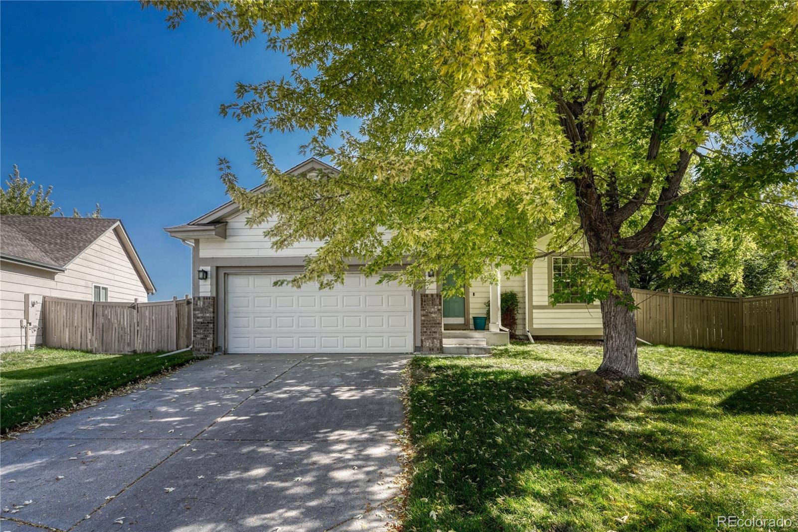 MLS Image #0 for 3377  holly hock court,castle rock, Colorado