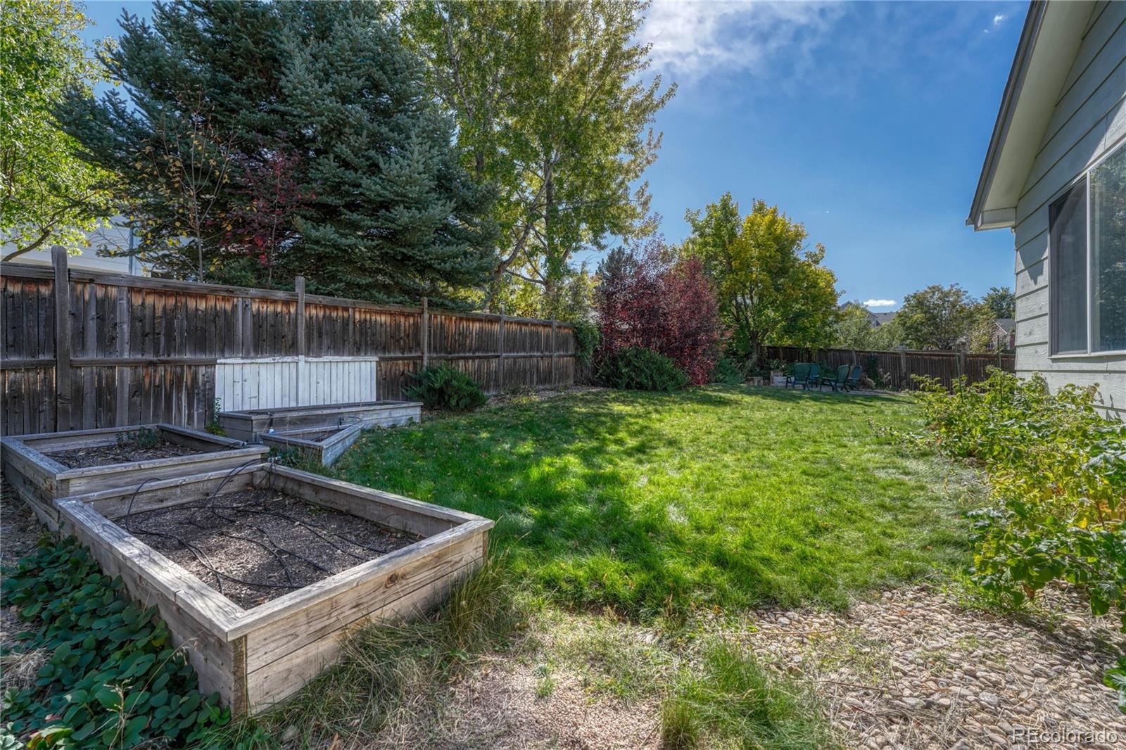 MLS Image #4 for 3377  holly hock court,castle rock, Colorado