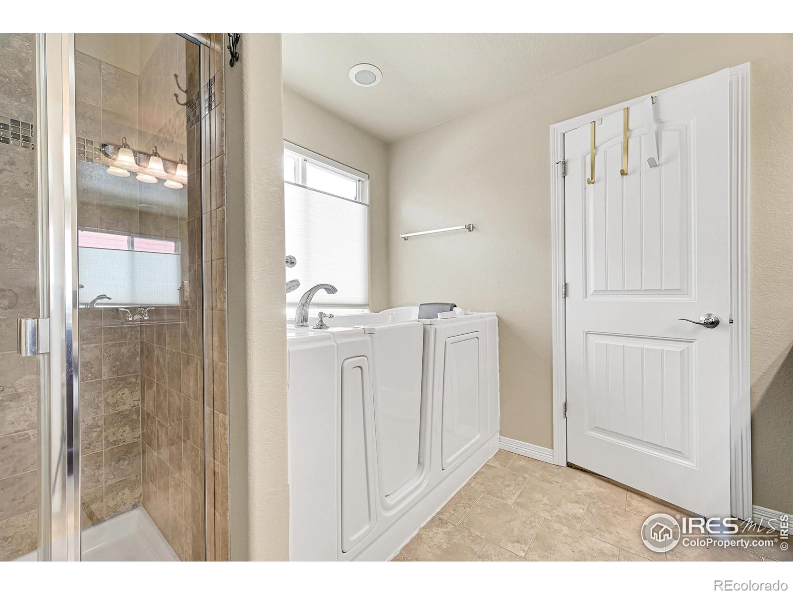 MLS Image #19 for 621  wind river court,windsor, Colorado