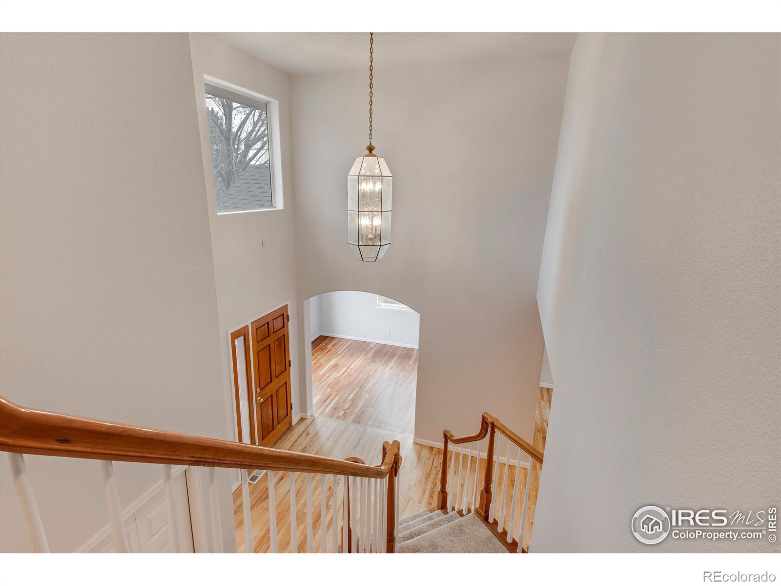 MLS Image #3 for 2125  sand dollar drive,longmont, Colorado