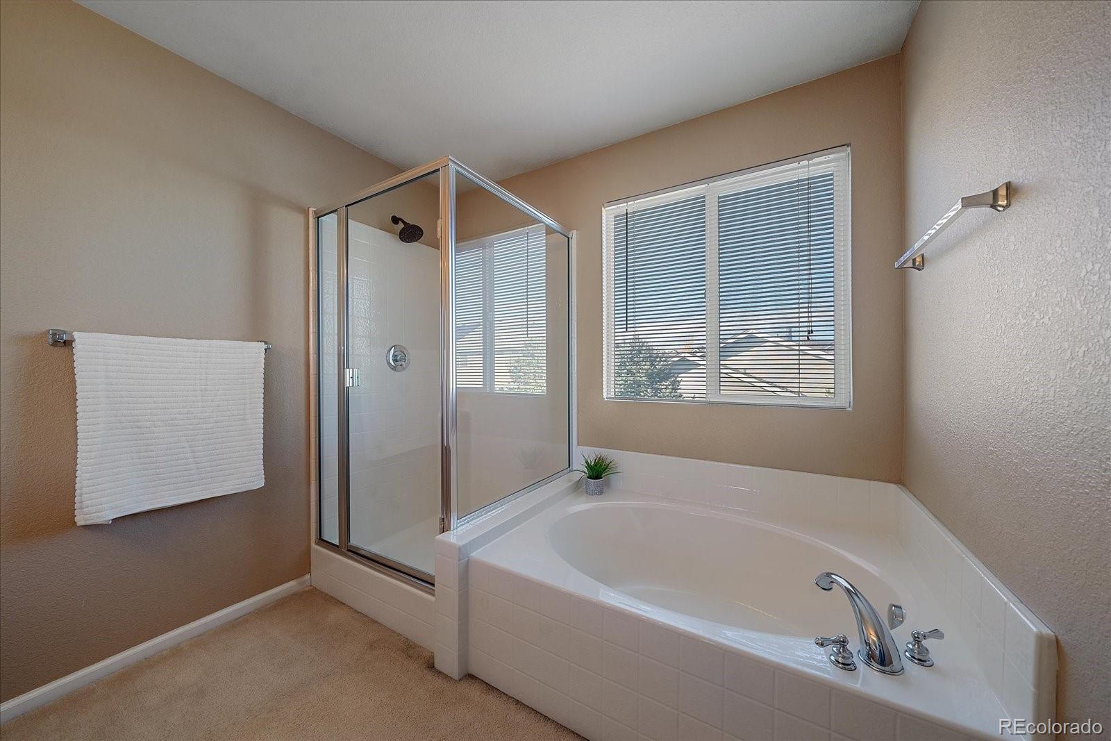 MLS Image #19 for 10197  garfield circle,thornton, Colorado