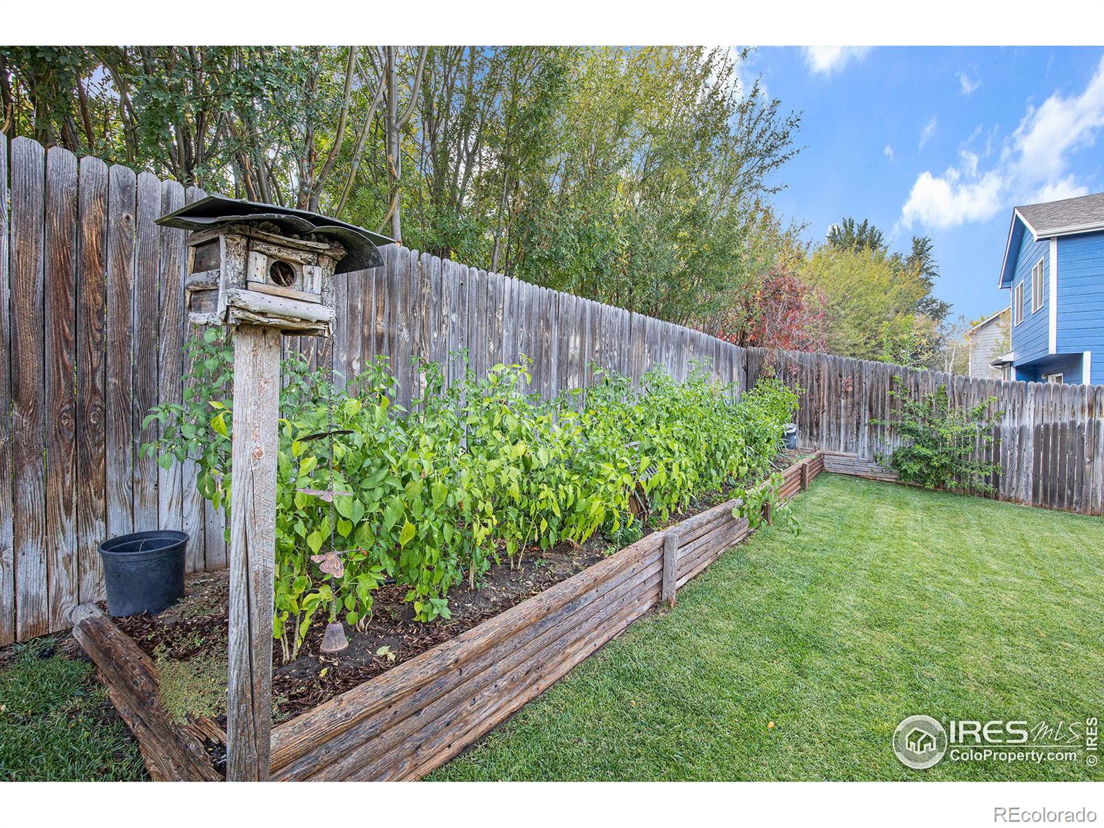 MLS Image #29 for 3215  ellis court,evans, Colorado