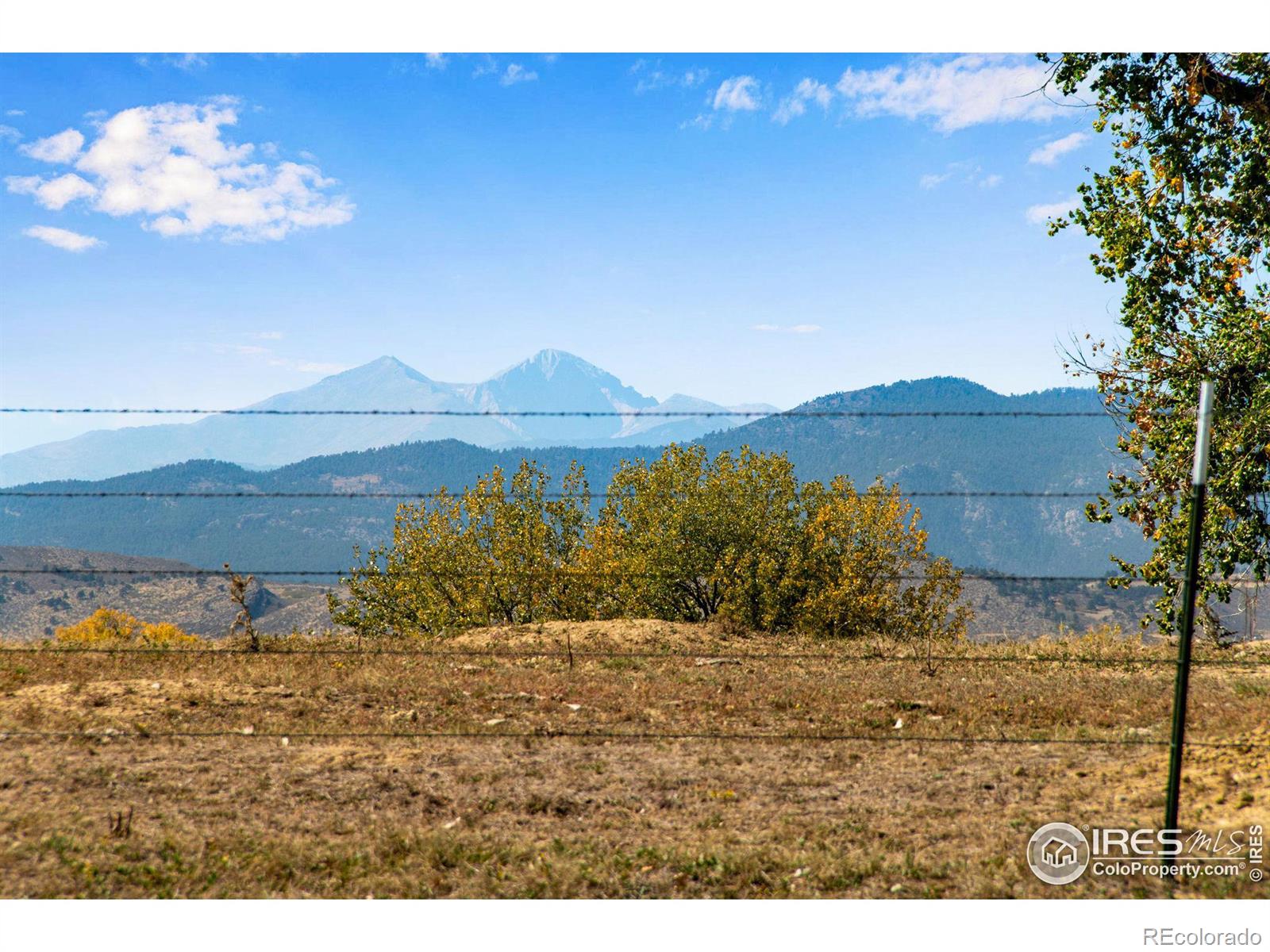 MLS Image #11 for 3315  spring mountain court,loveland, Colorado