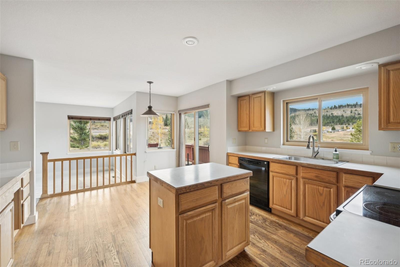 MLS Image #12 for 96  coachman court,dillon, Colorado