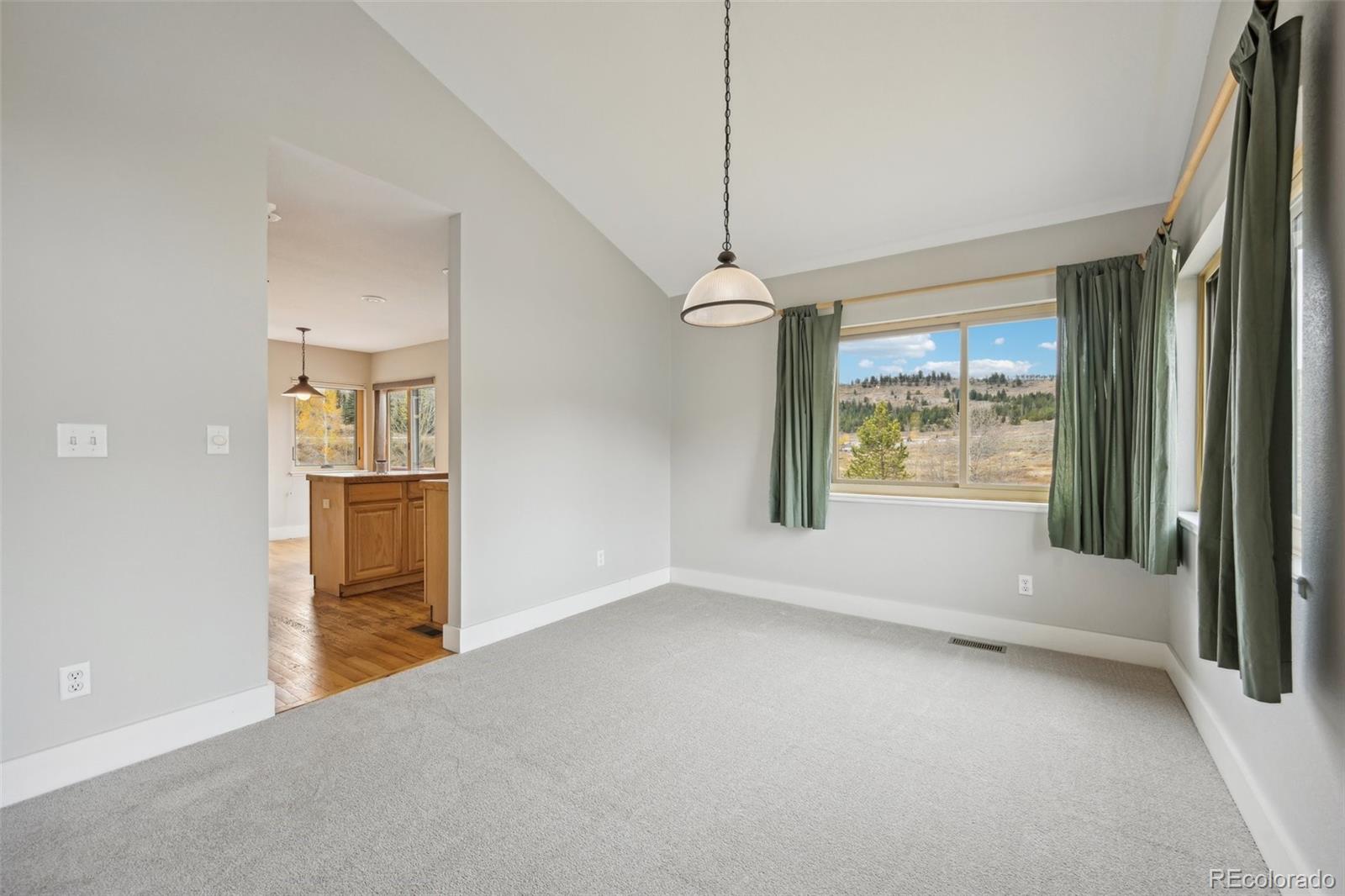 MLS Image #8 for 96  coachman court,dillon, Colorado