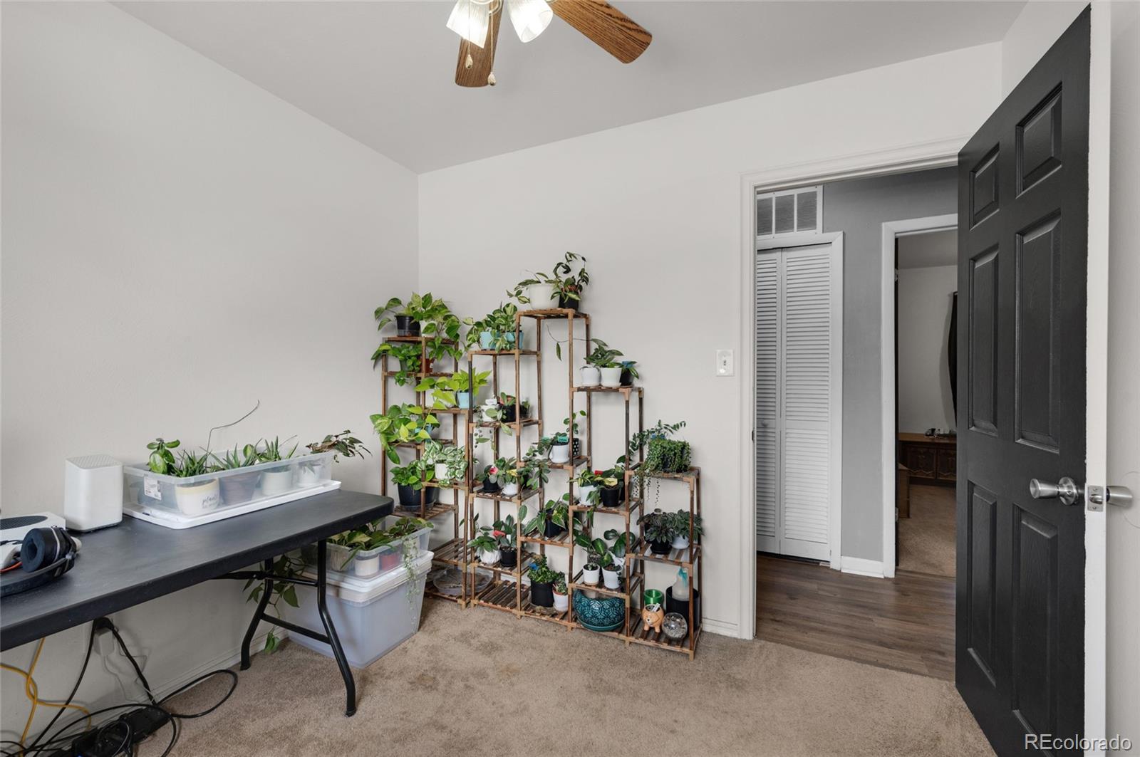 MLS Image #19 for 2623  san marcos drive,colorado springs, Colorado