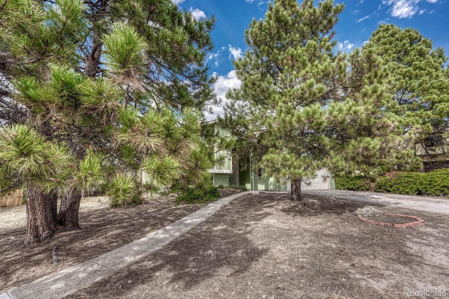 MLS Image #6 for 3110  vickers drive,colorado springs, Colorado