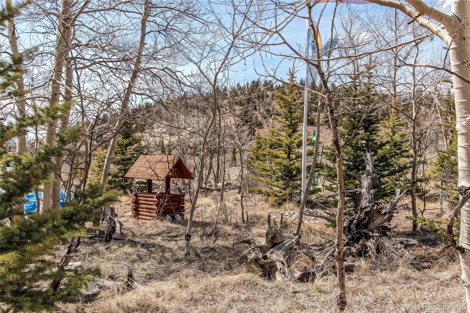 MLS Image #14 for 55  chippewa road,jefferson, Colorado