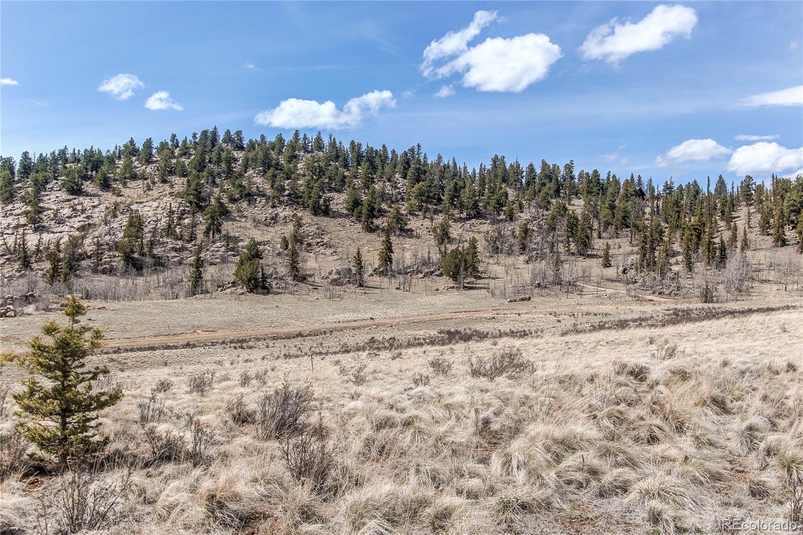 MLS Image #9 for 55  chippewa road,jefferson, Colorado