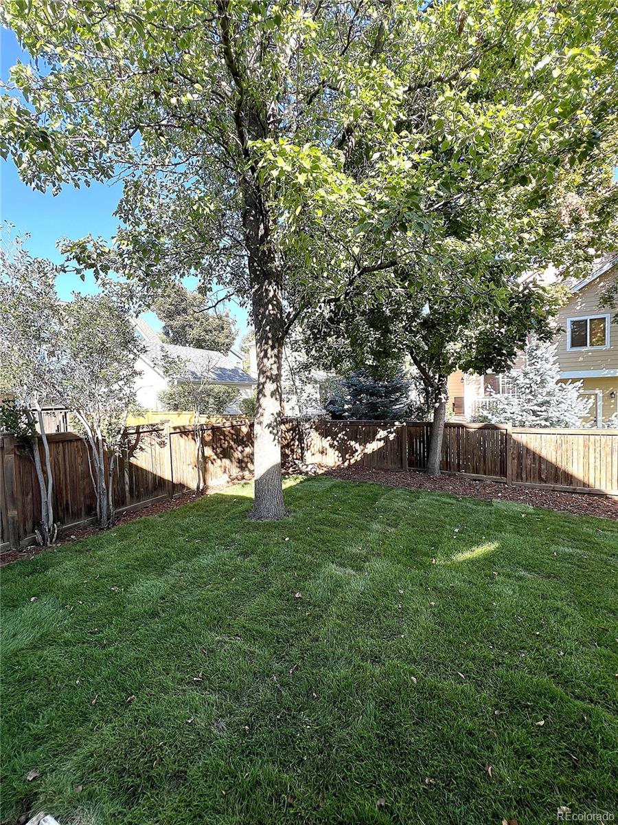 MLS Image #29 for 232  sugarbin court,longmont, Colorado