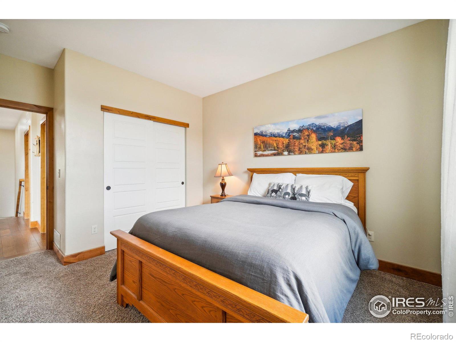 MLS Image #23 for 4608  chokecherry trail,fort collins, Colorado