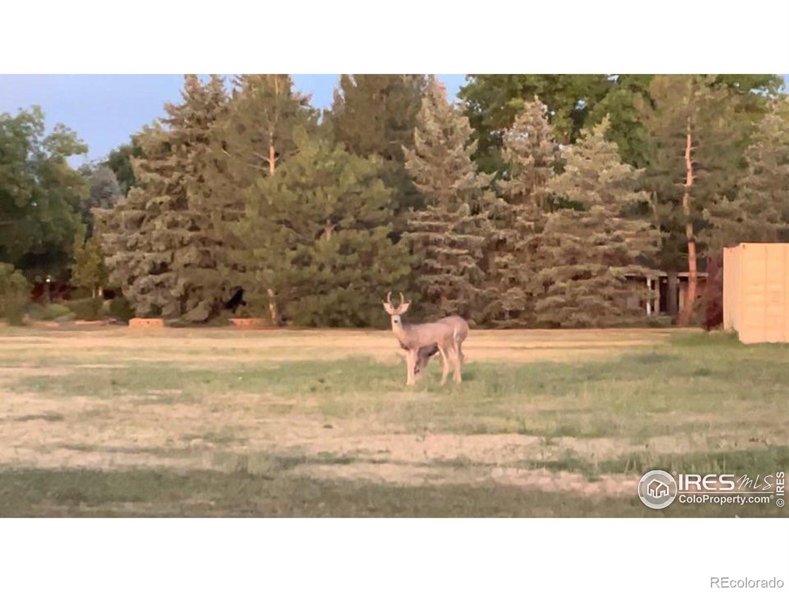 MLS Image #38 for 4608  chokecherry trail,fort collins, Colorado