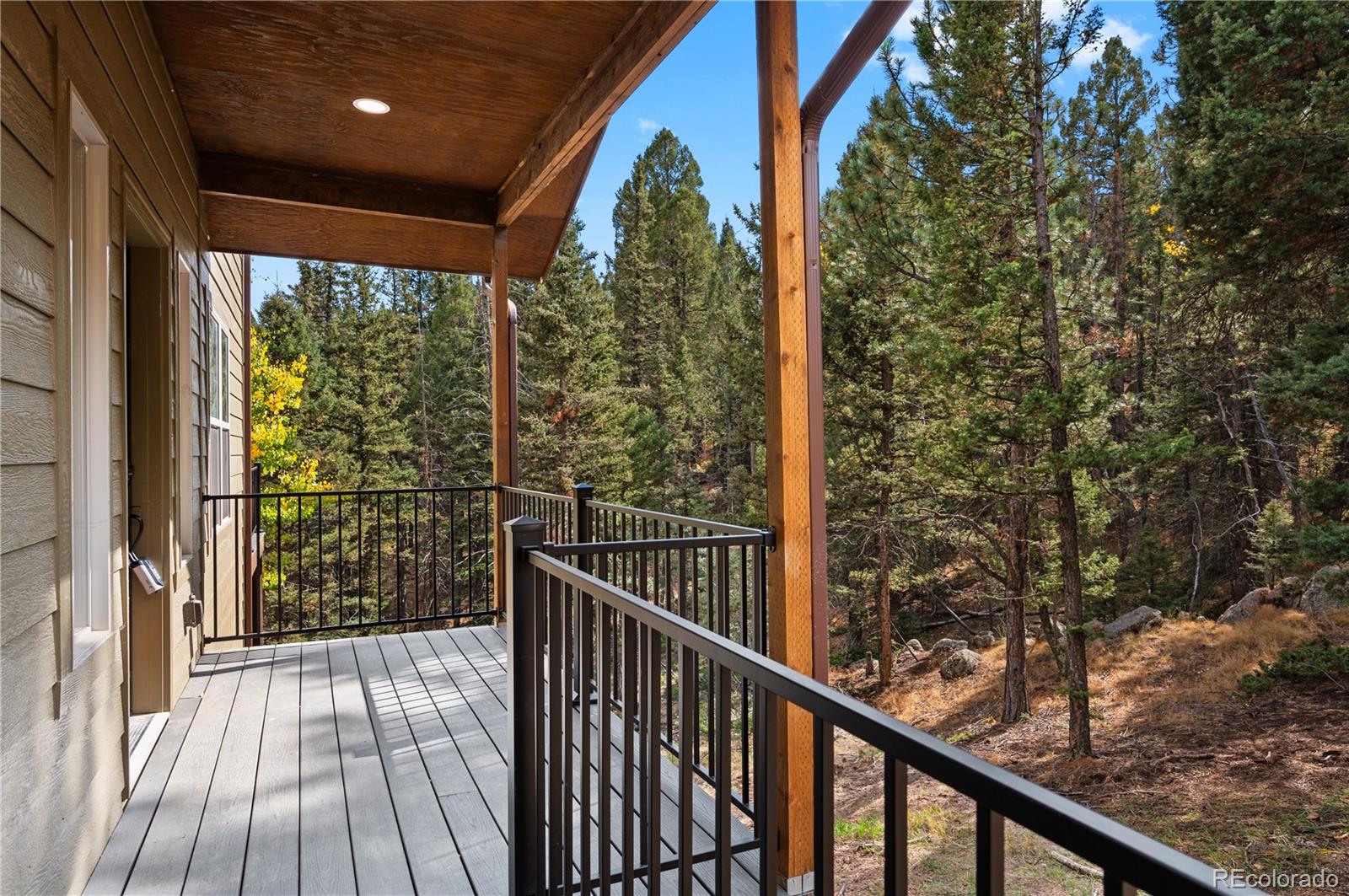 MLS Image #1 for 110  princeton drive,woodland park, Colorado