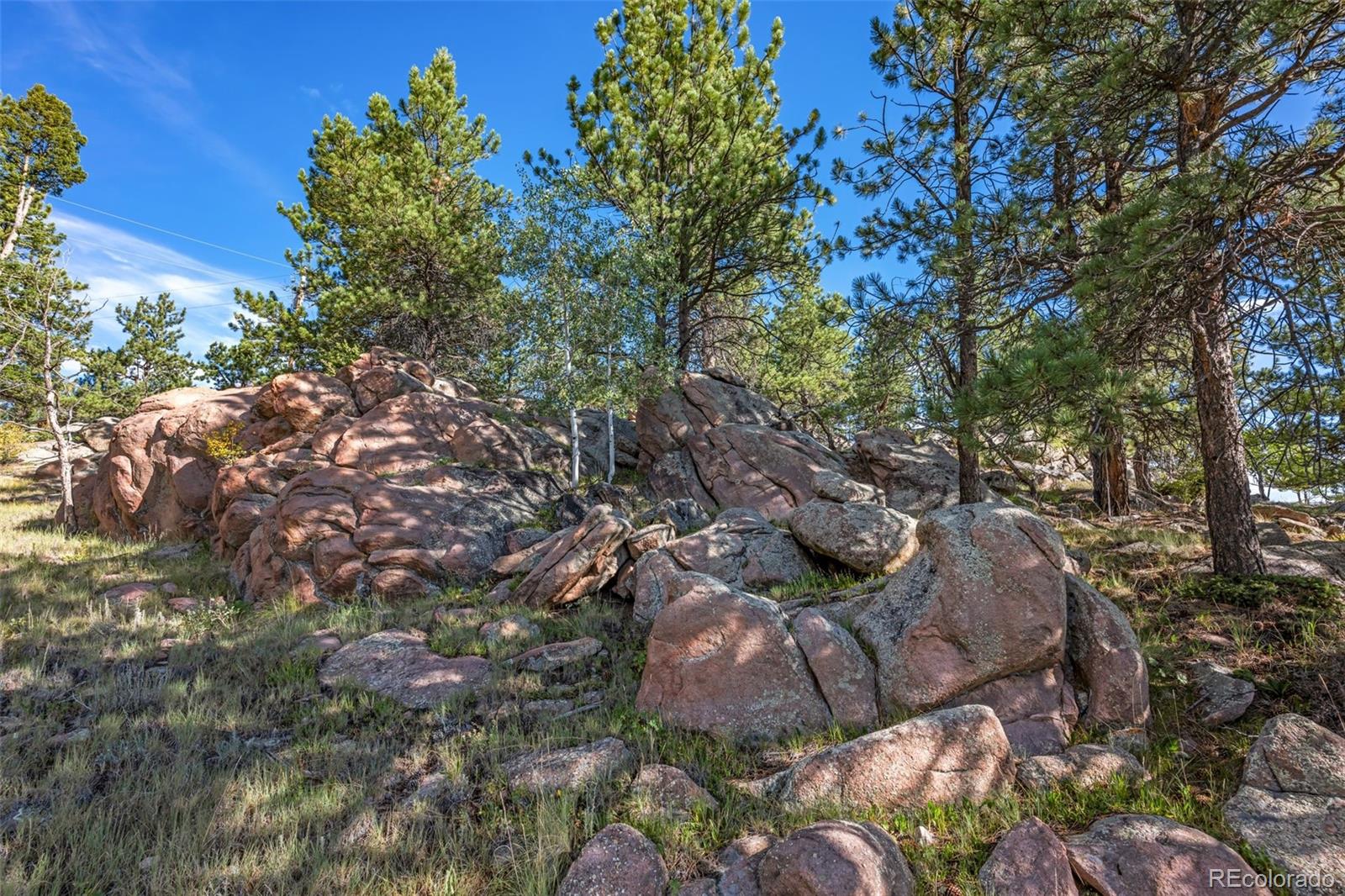 MLS Image #33 for 29  big rock drive,florissant, Colorado