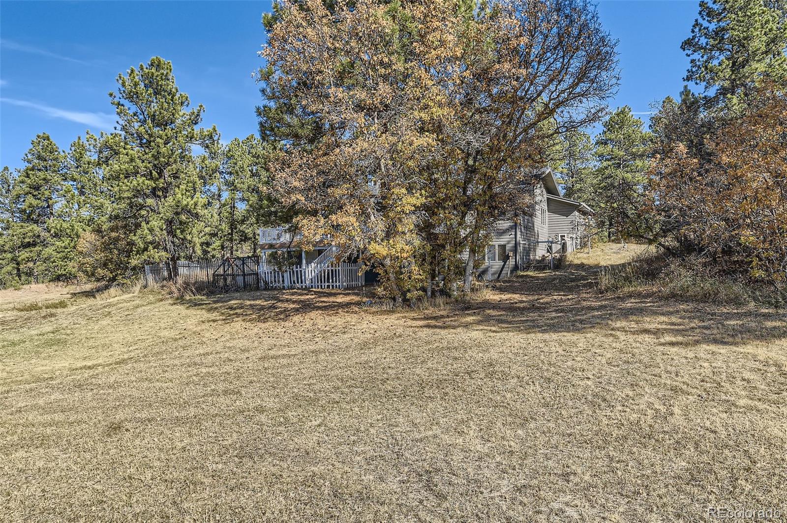 MLS Image #39 for 667 n white tail drive,franktown, Colorado