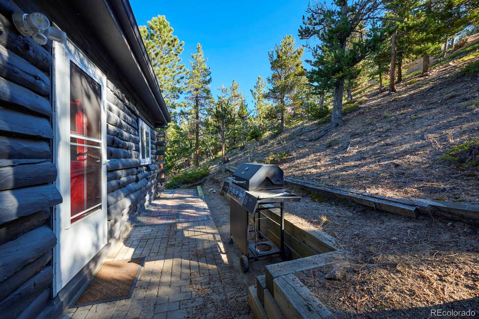 MLS Image #17 for 17  barker road,nederland, Colorado