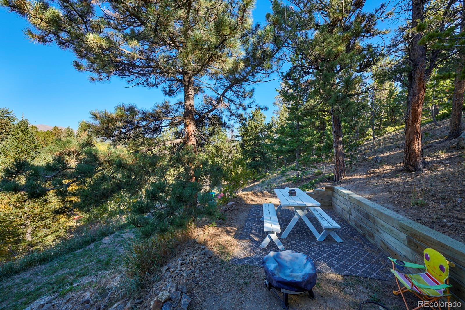 MLS Image #19 for 17  barker road,nederland, Colorado