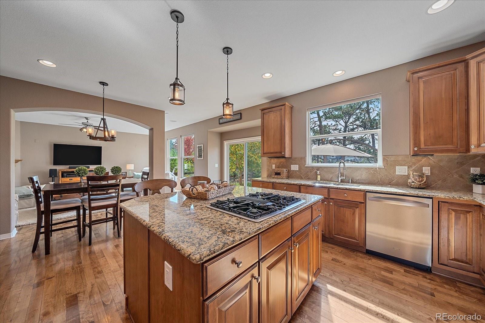 MLS Image #21 for 204  crosshaven place,castle rock, Colorado