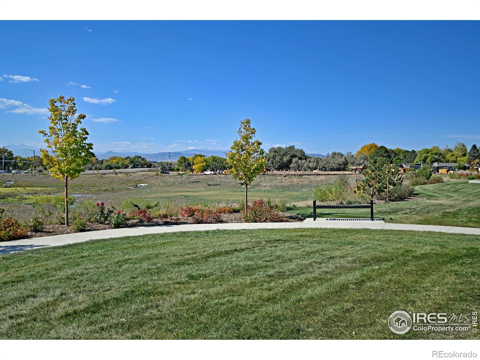 MLS Image #38 for 4507  barrow lane,timnath, Colorado