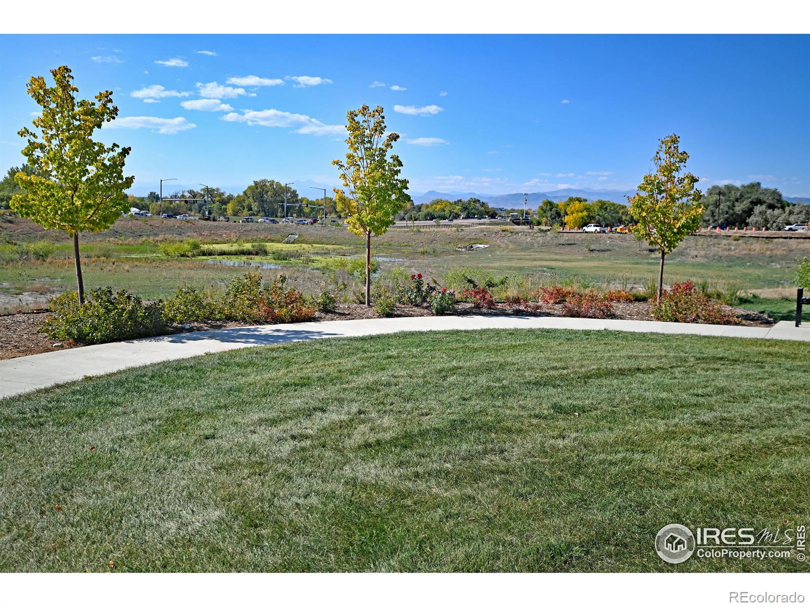 MLS Image #39 for 4507  barrow lane,timnath, Colorado