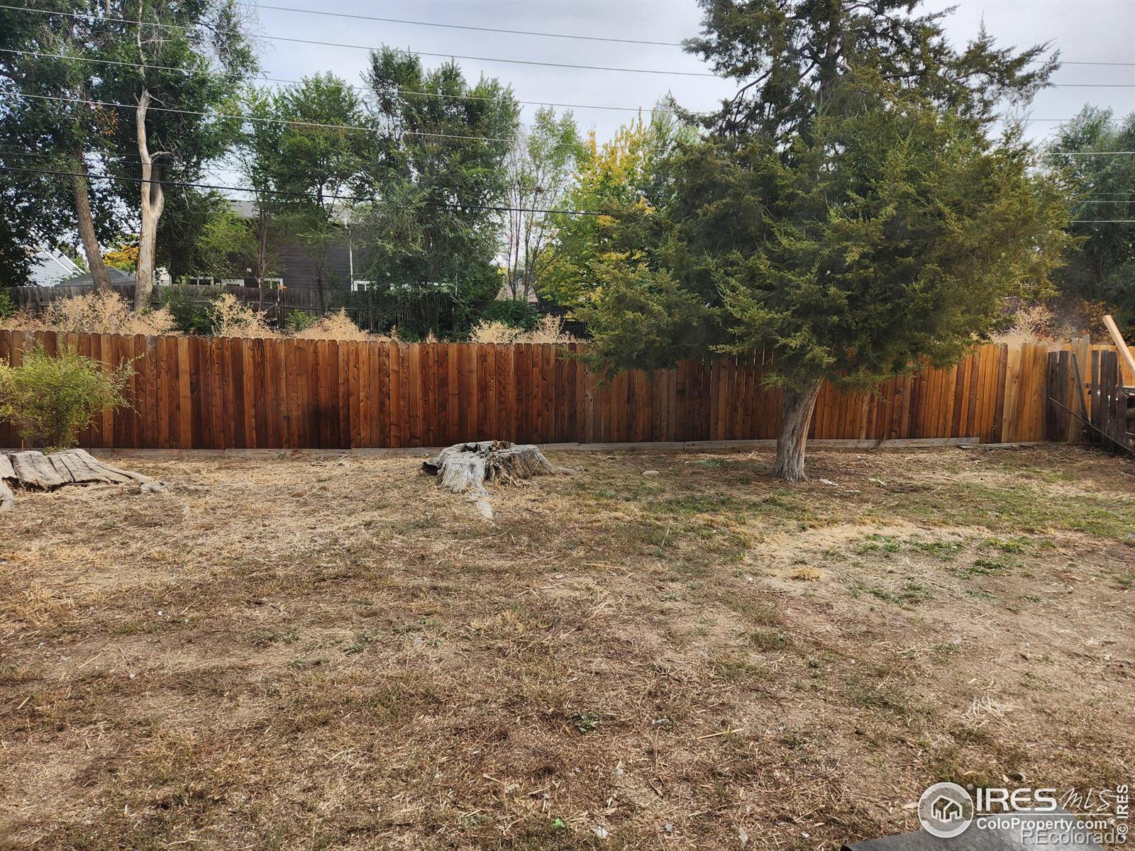 MLS Image #11 for 1756  meadow street,longmont, Colorado