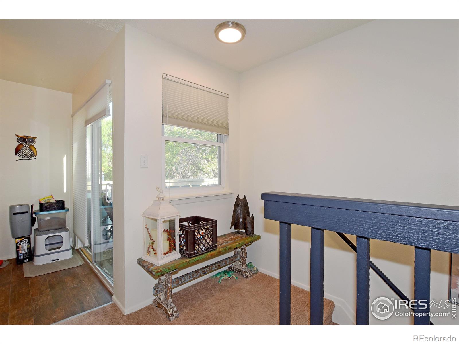 MLS Image #15 for 12115  bannock street,denver, Colorado