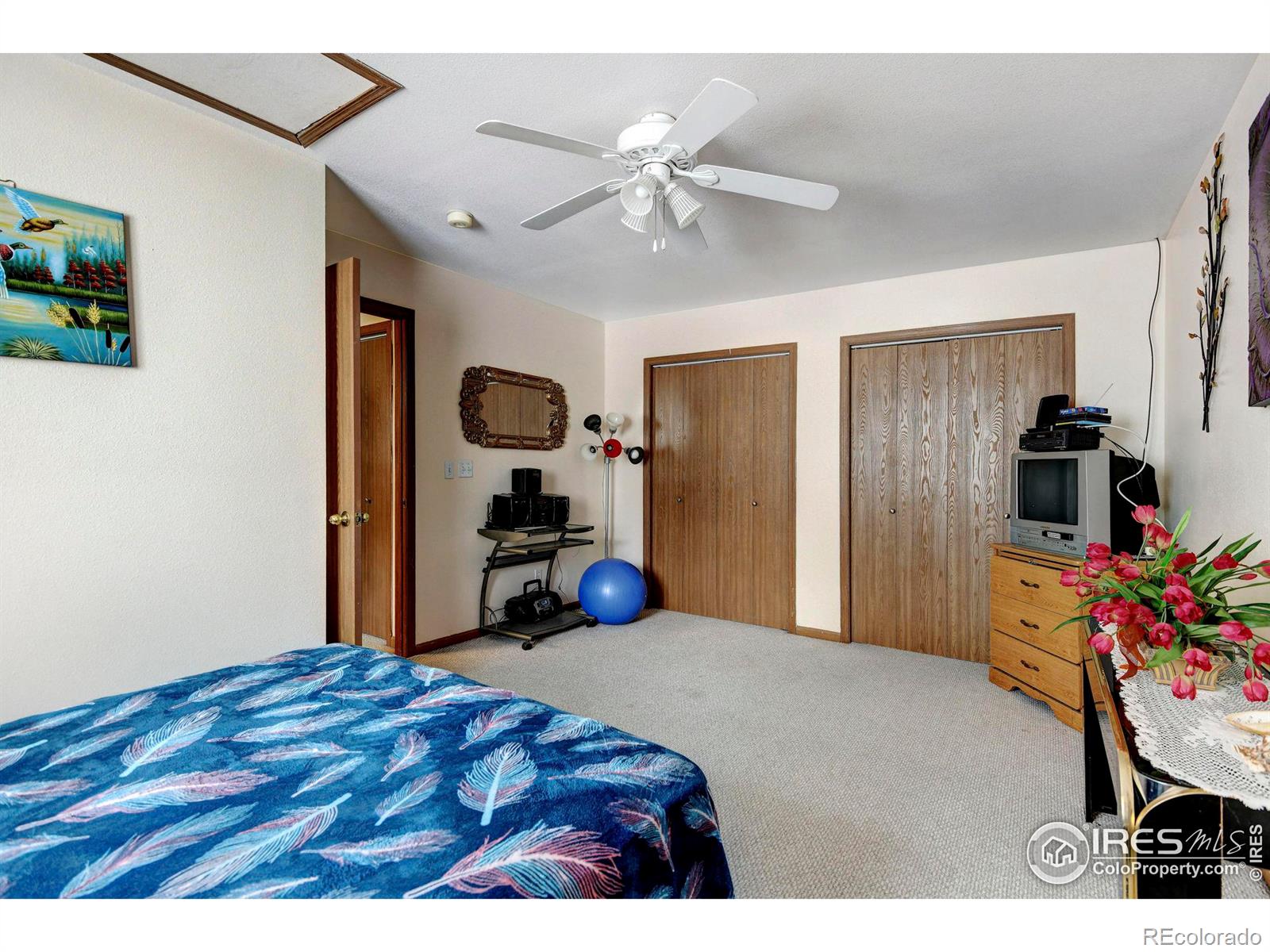 MLS Image #11 for 2213  emery street,longmont, Colorado