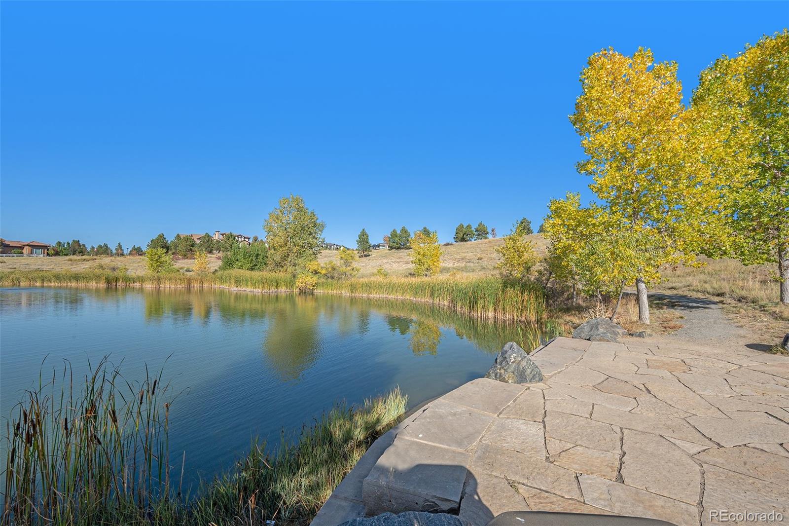 MLS Image #46 for 10455  meadowleaf way,highlands ranch, Colorado