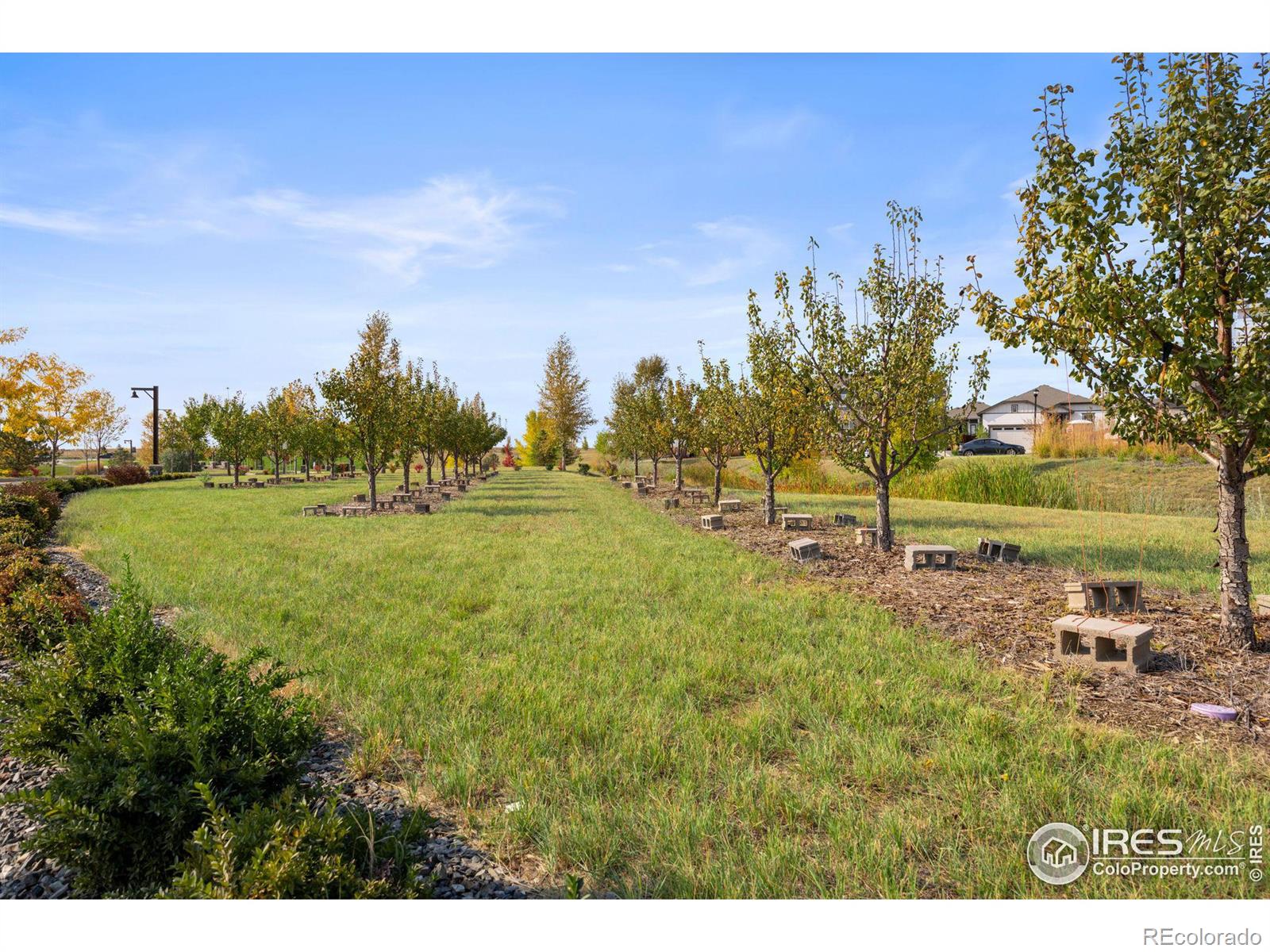 MLS Image #32 for 2102  setting sun drive,windsor, Colorado