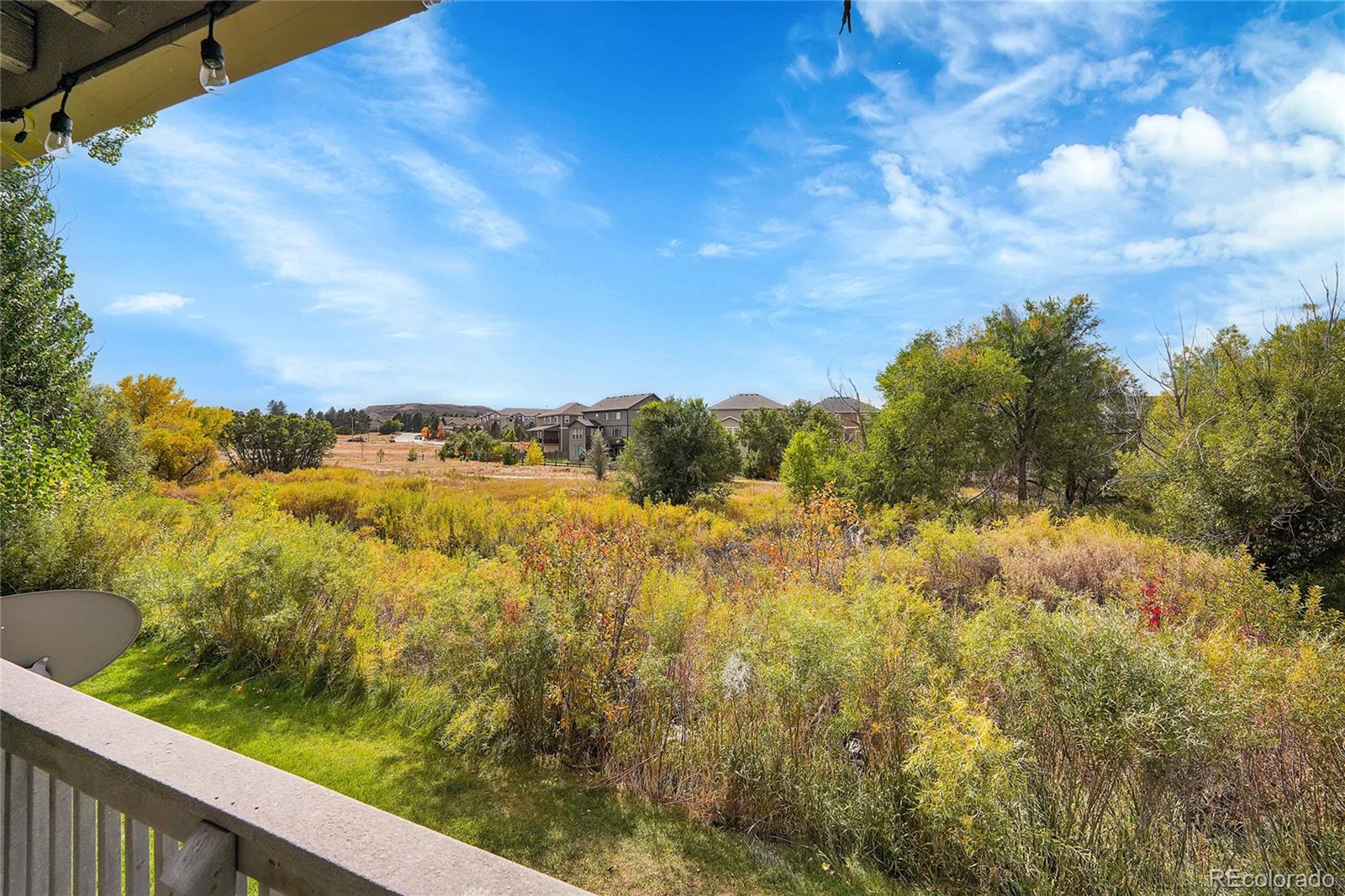 MLS Image #27 for 1179 s gilbert street,castle rock, Colorado