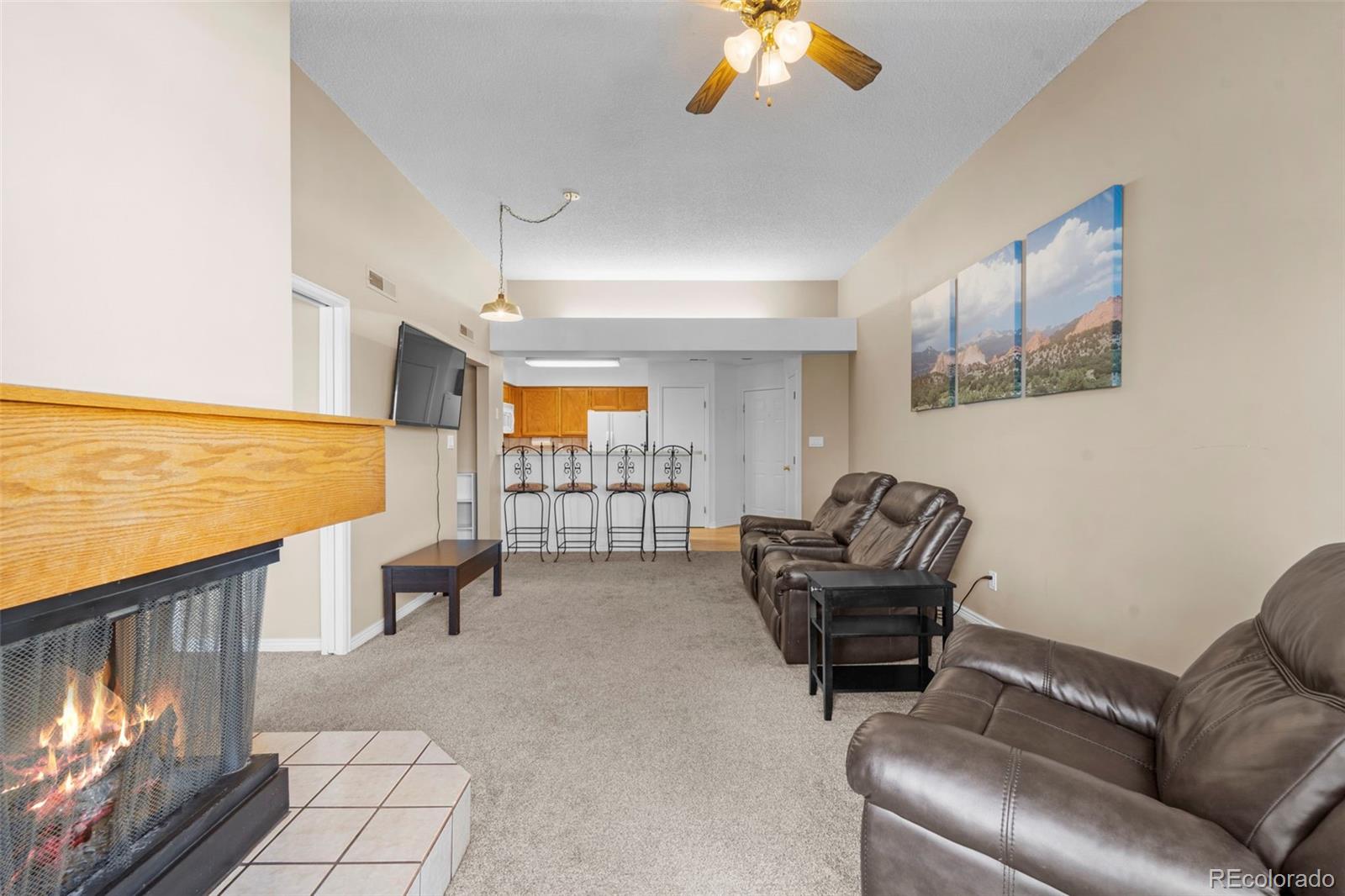 MLS Image #8 for 3692  iguana drive,colorado springs, Colorado