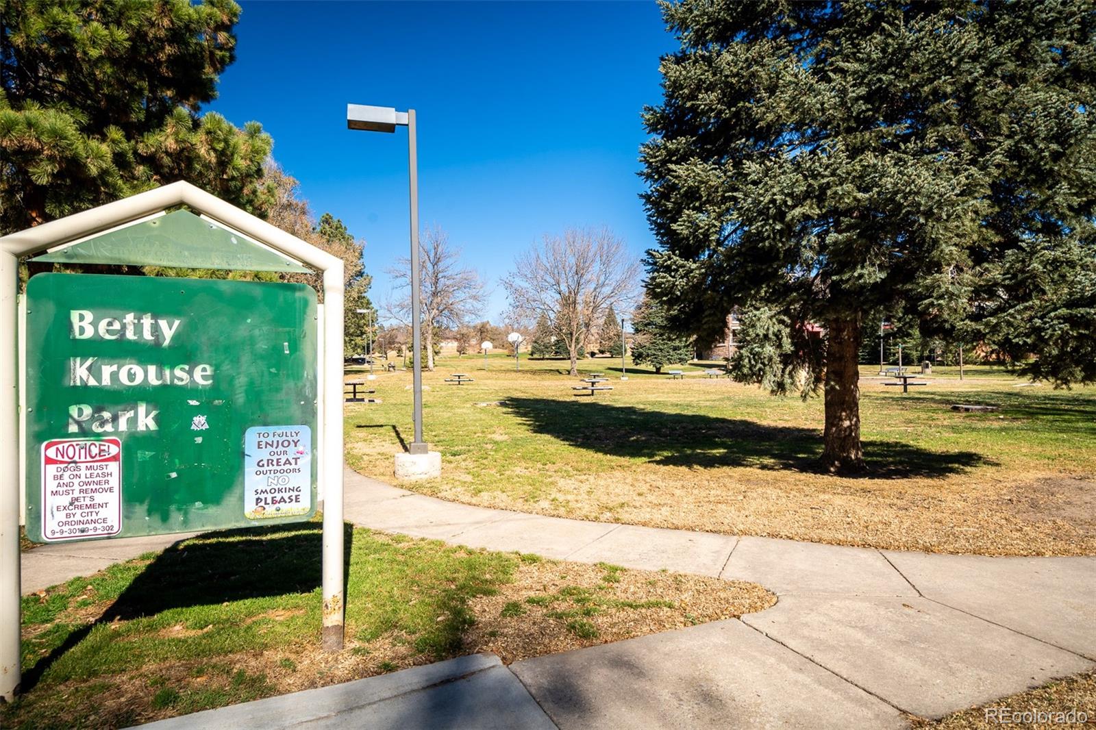 MLS Image #30 for 2431 e dale street,colorado springs, Colorado